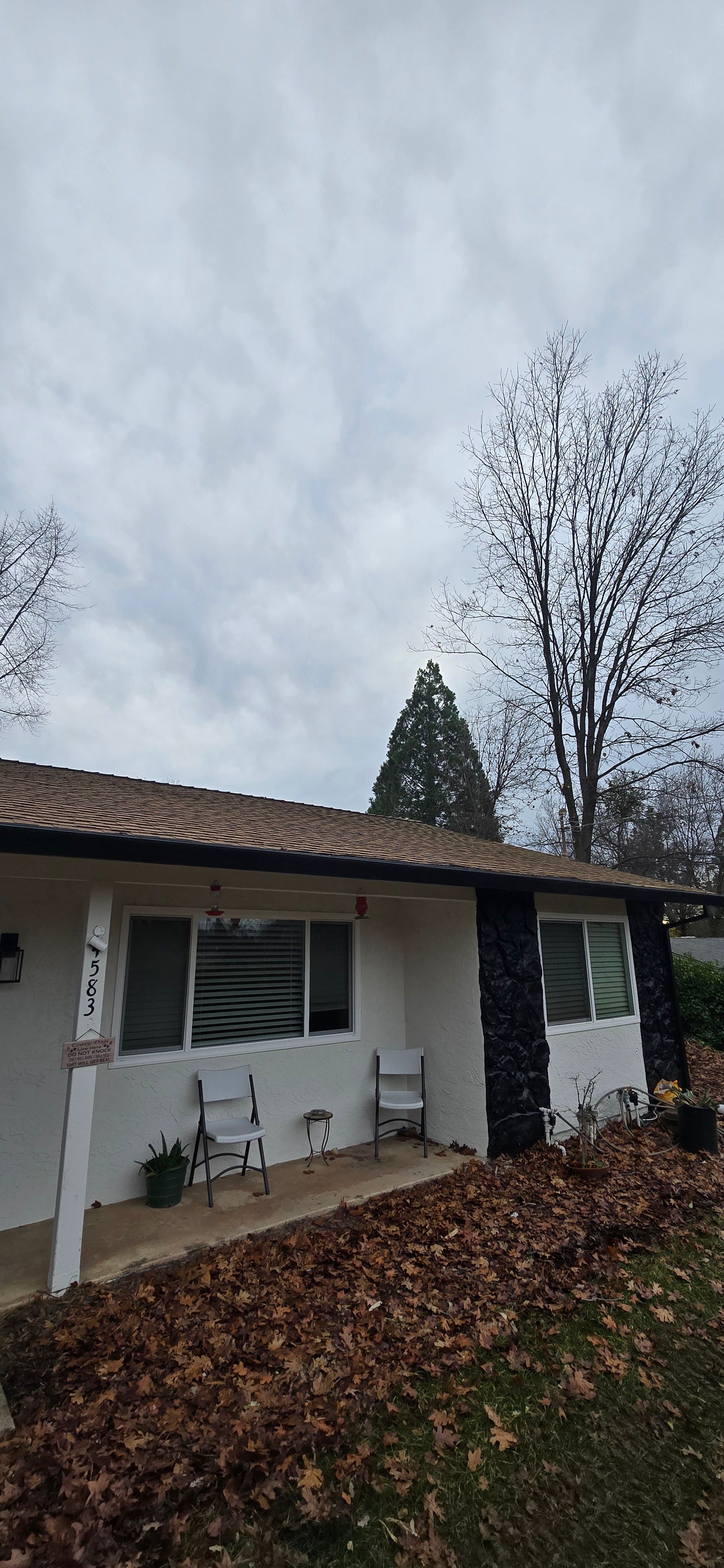  for George Staddan's Professional Tree Care in Placerville, CA