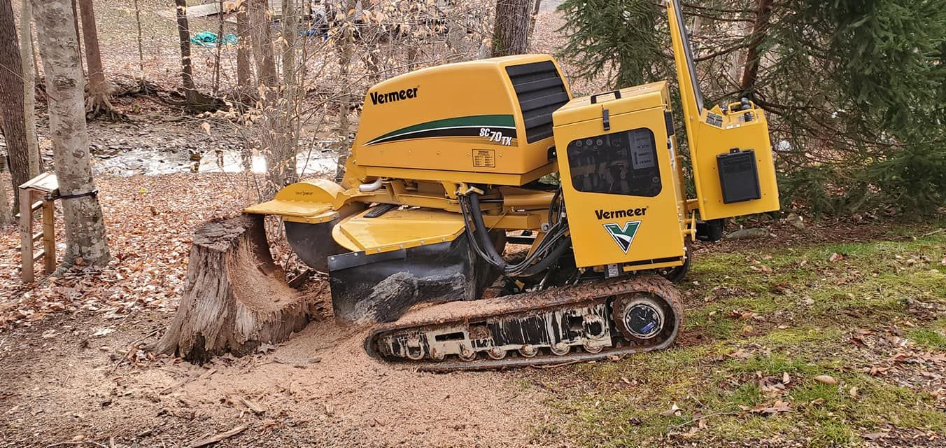  for W D Giampa Lawns and Landscape Inc. in Manassas, VA