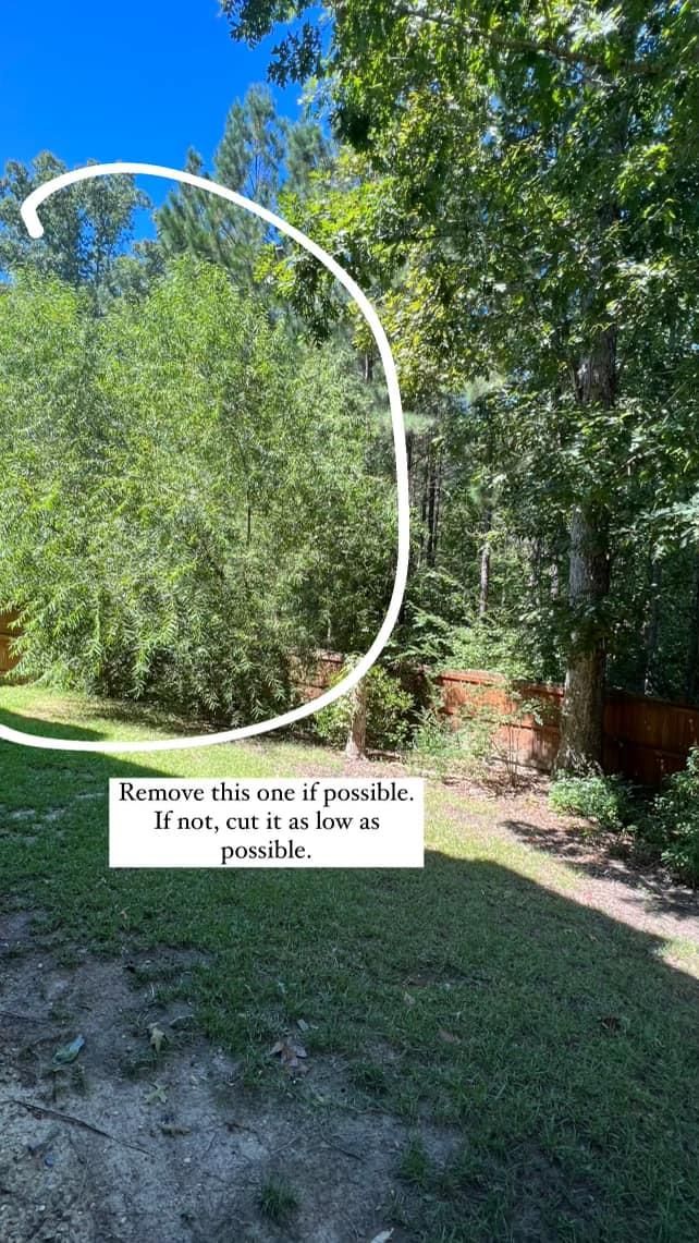  for Shang's Landscaping Service in Columbia, South Carolina