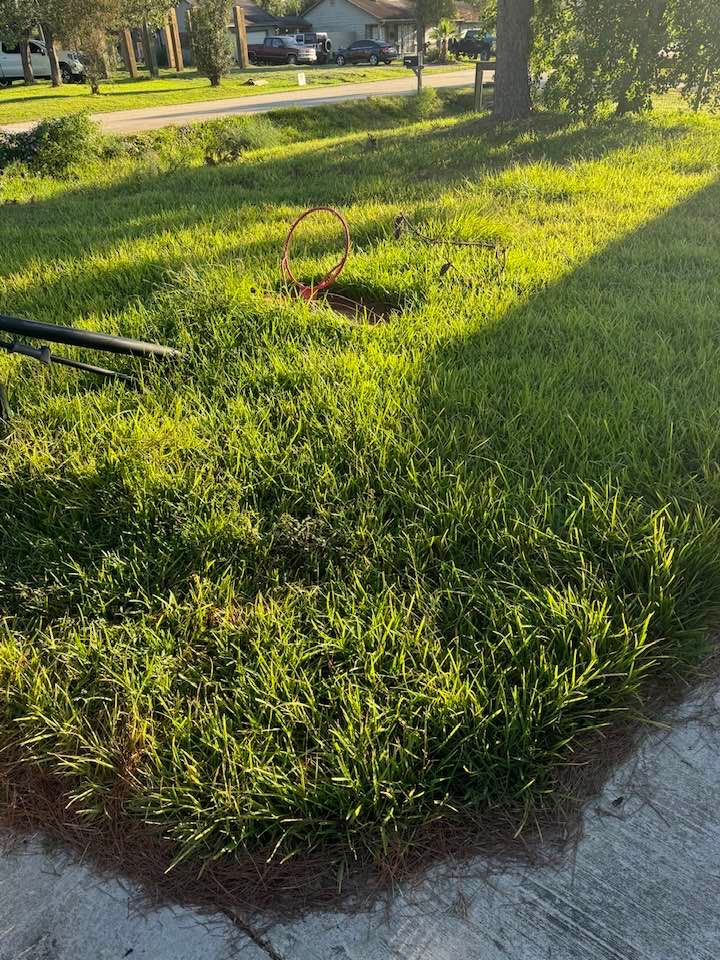 All Photos for Gulf-Tex Lawn Care in Baytown, TX