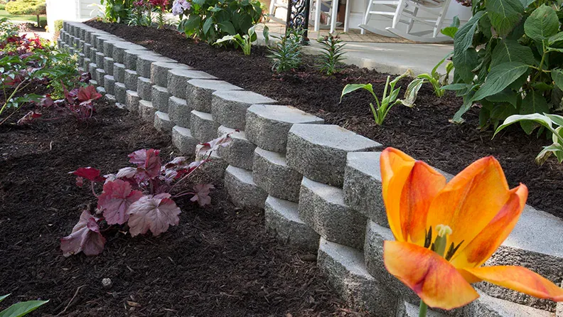 for Jacks Lawn & Landscape LLC  in Hastings, NE