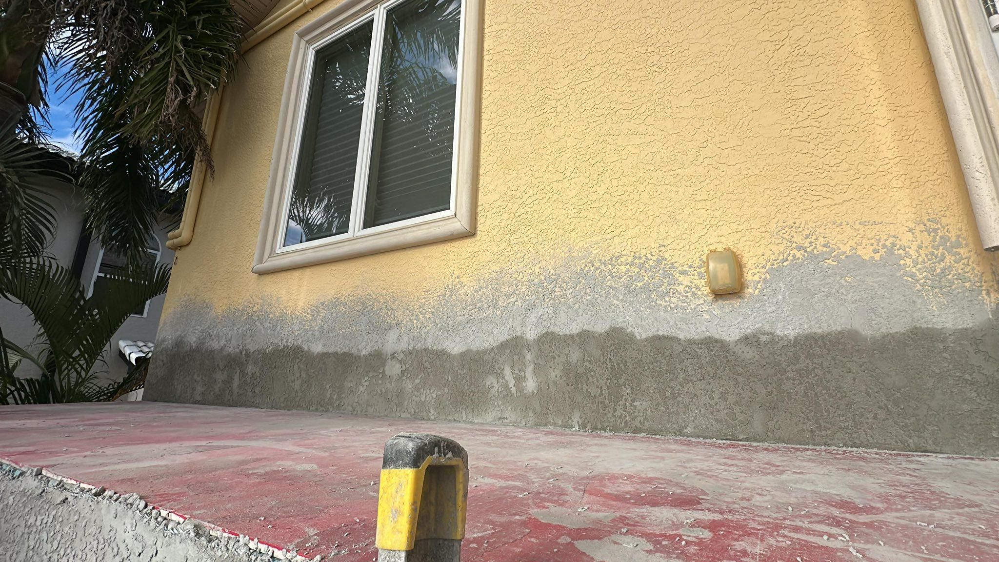  for Escorpio Painting in Tampa, FL