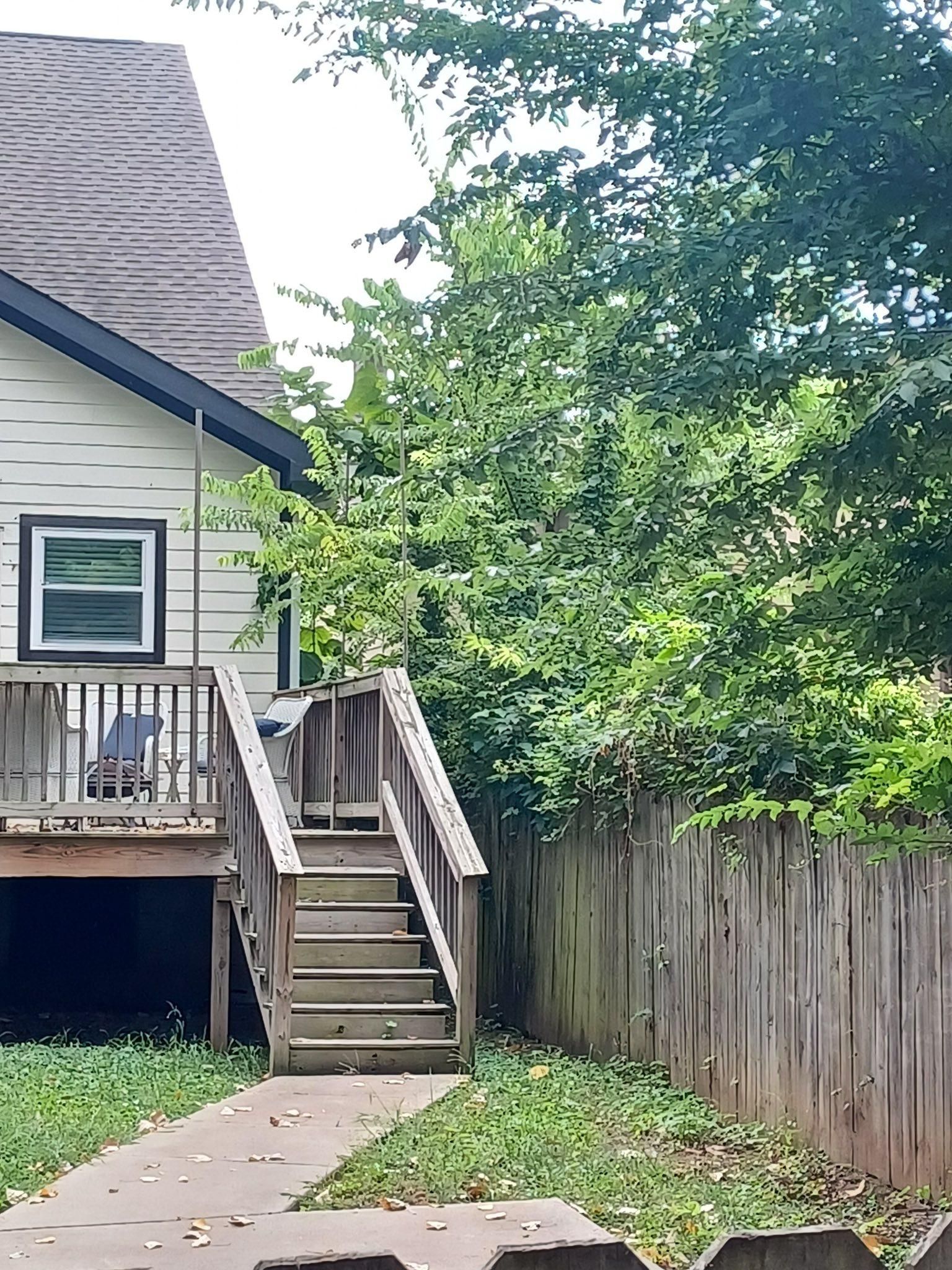  for Grass Management in Nashville, TN