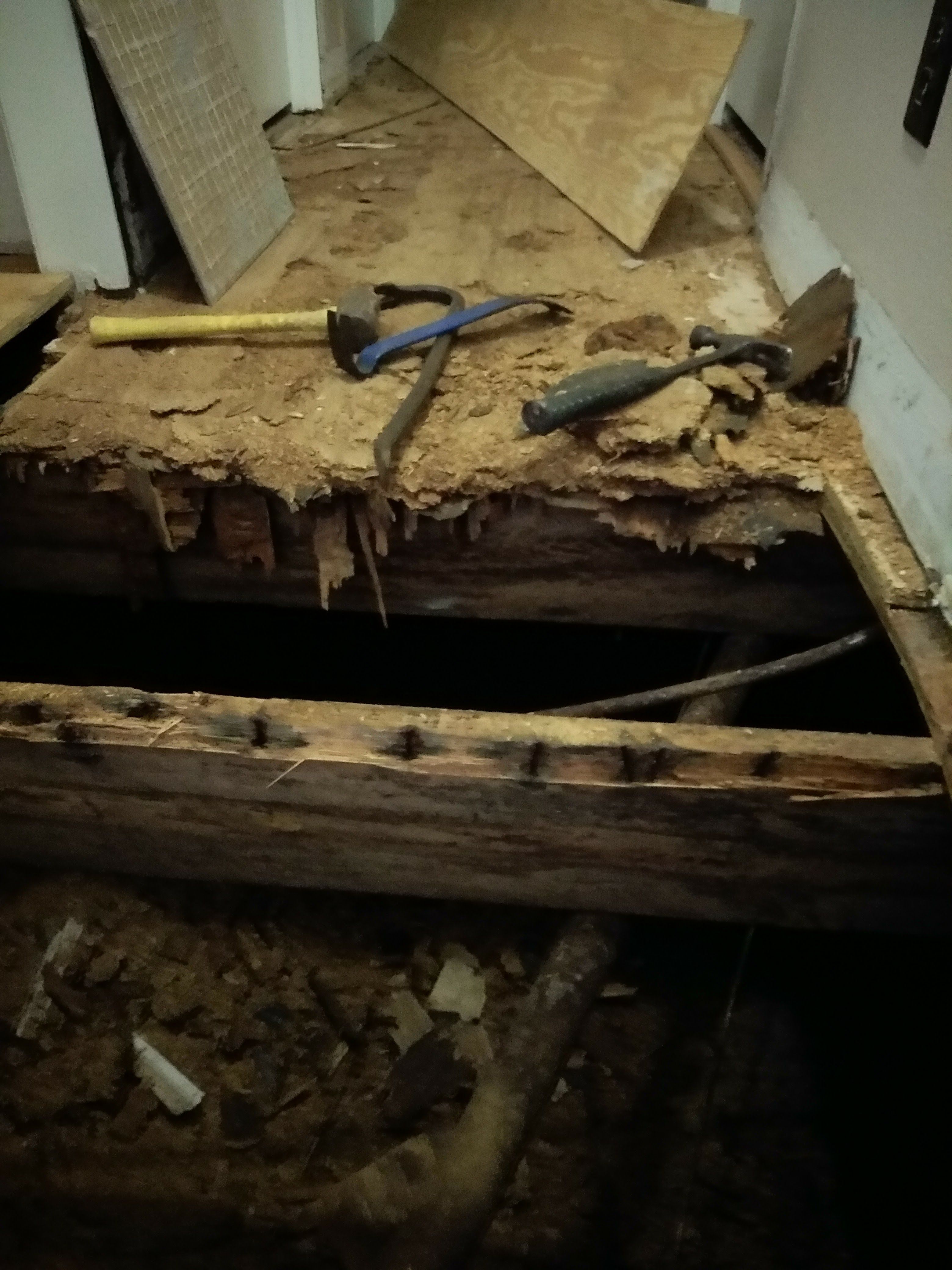  for Joel's Local Handyman Services in Clermont, FL