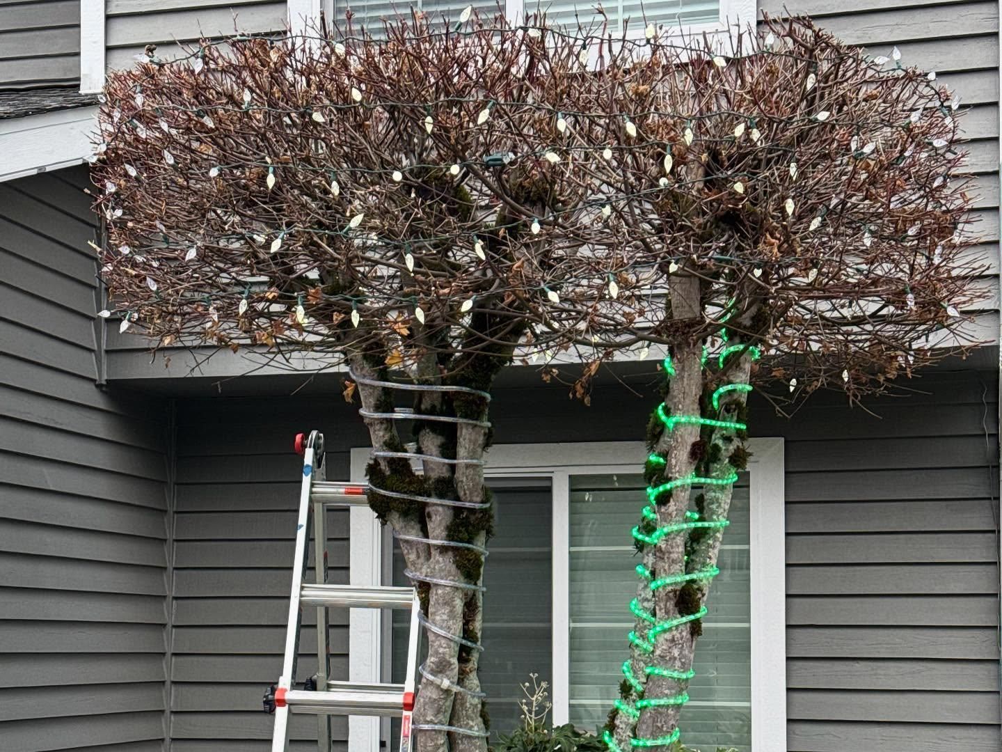 Kitchen Renovation for J. Jensen Enterprises in Renton, WA