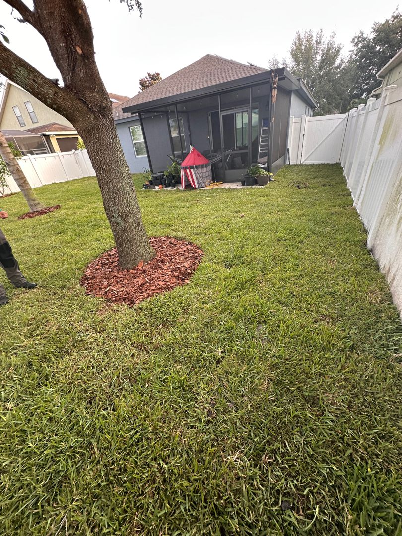 Tree Services for Ludlows Services in Davenport, FL