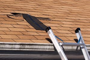  for Rainguard Masonry and Roofing in Lowell, MA
