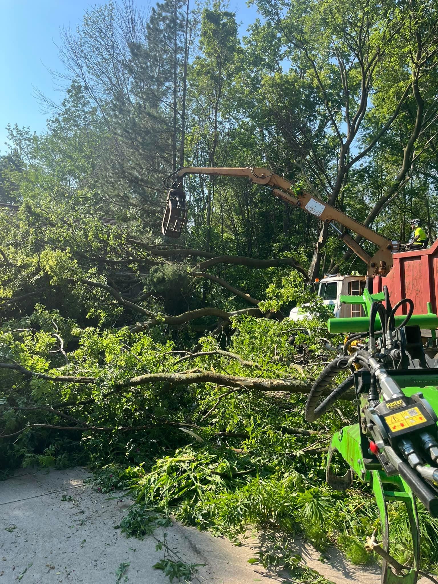  for Tree-B-Gone in Appleton, WI