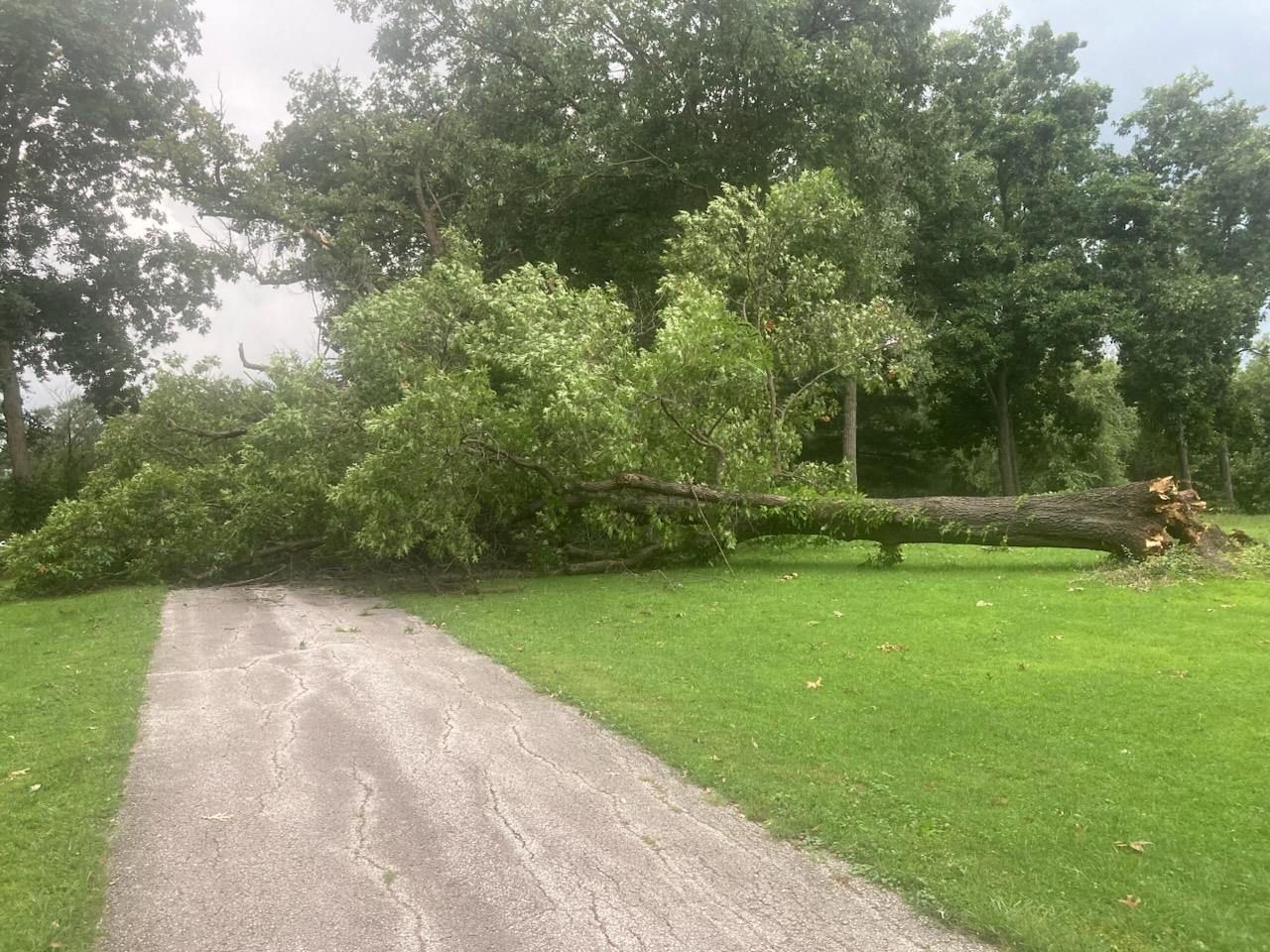  for Lawn Ranger Yard And Tree Service LLC in Ottumwa, IA