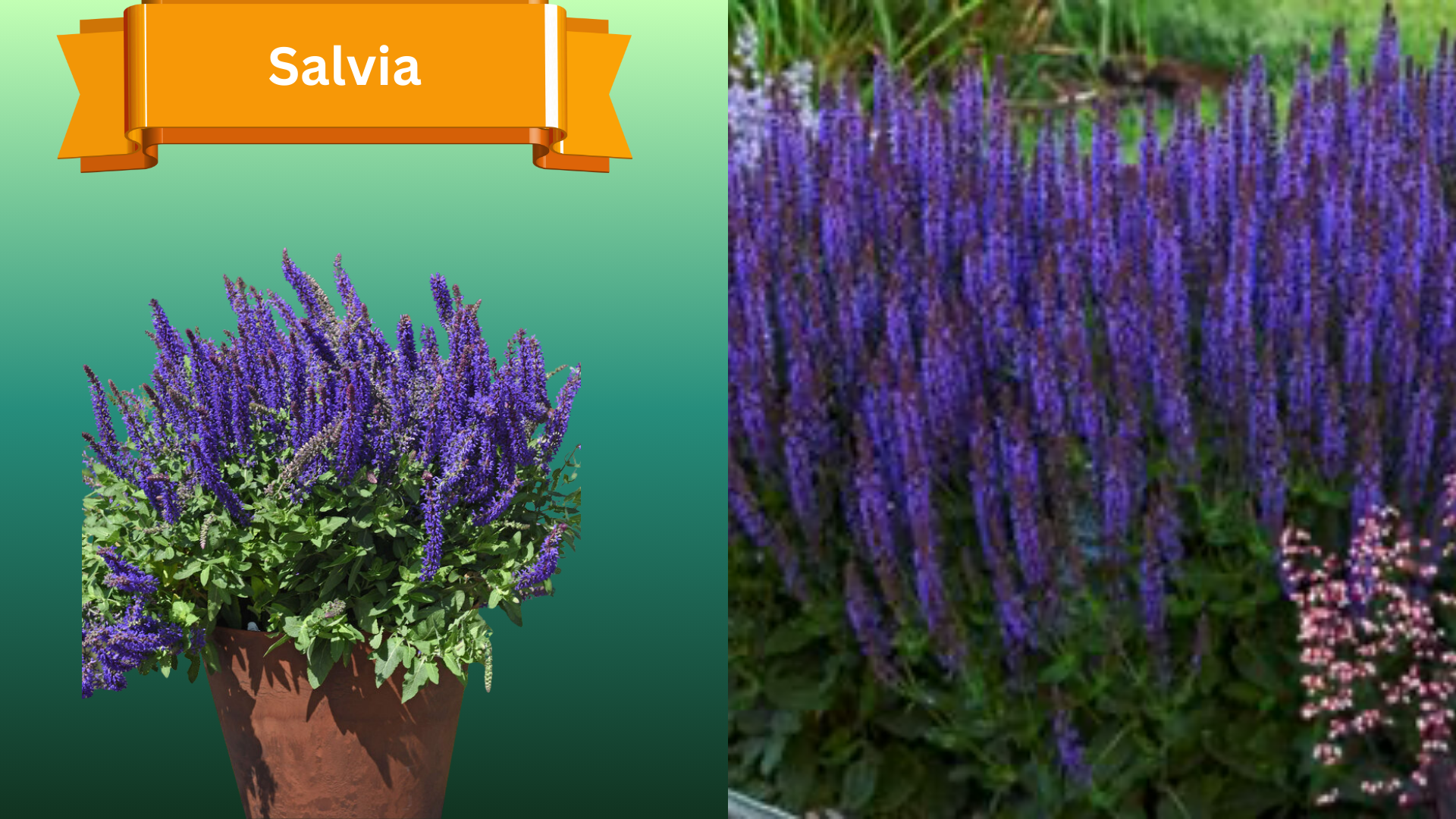  for R.B. & Company in Belleview, FL