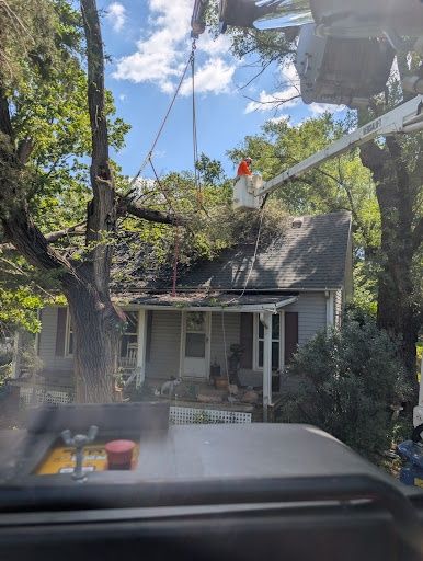  for Mitchell Tree Company in Lathrop, MO