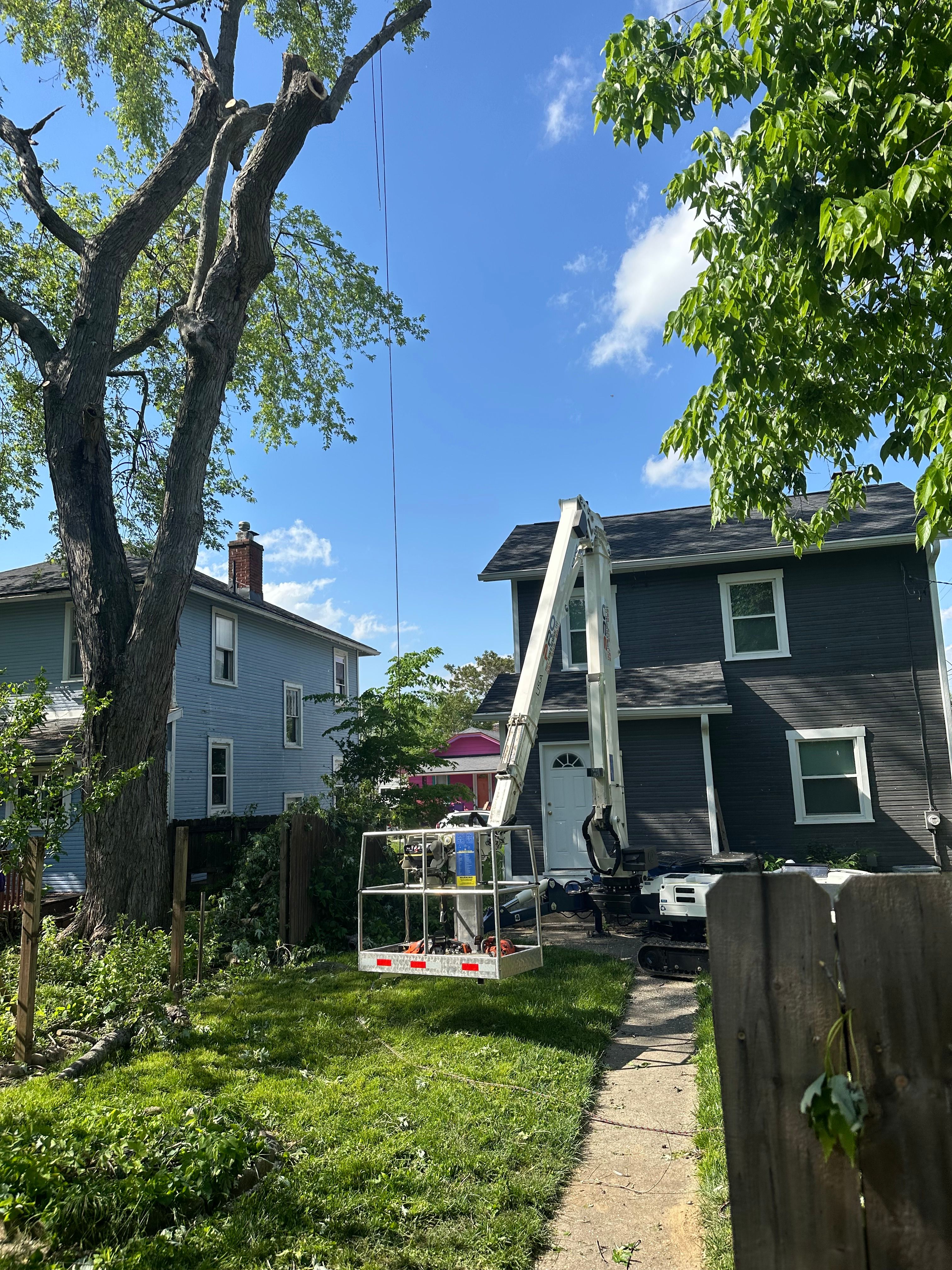 All Photos for Pro Tree Trim & Removal, Llc in Dayton, OH