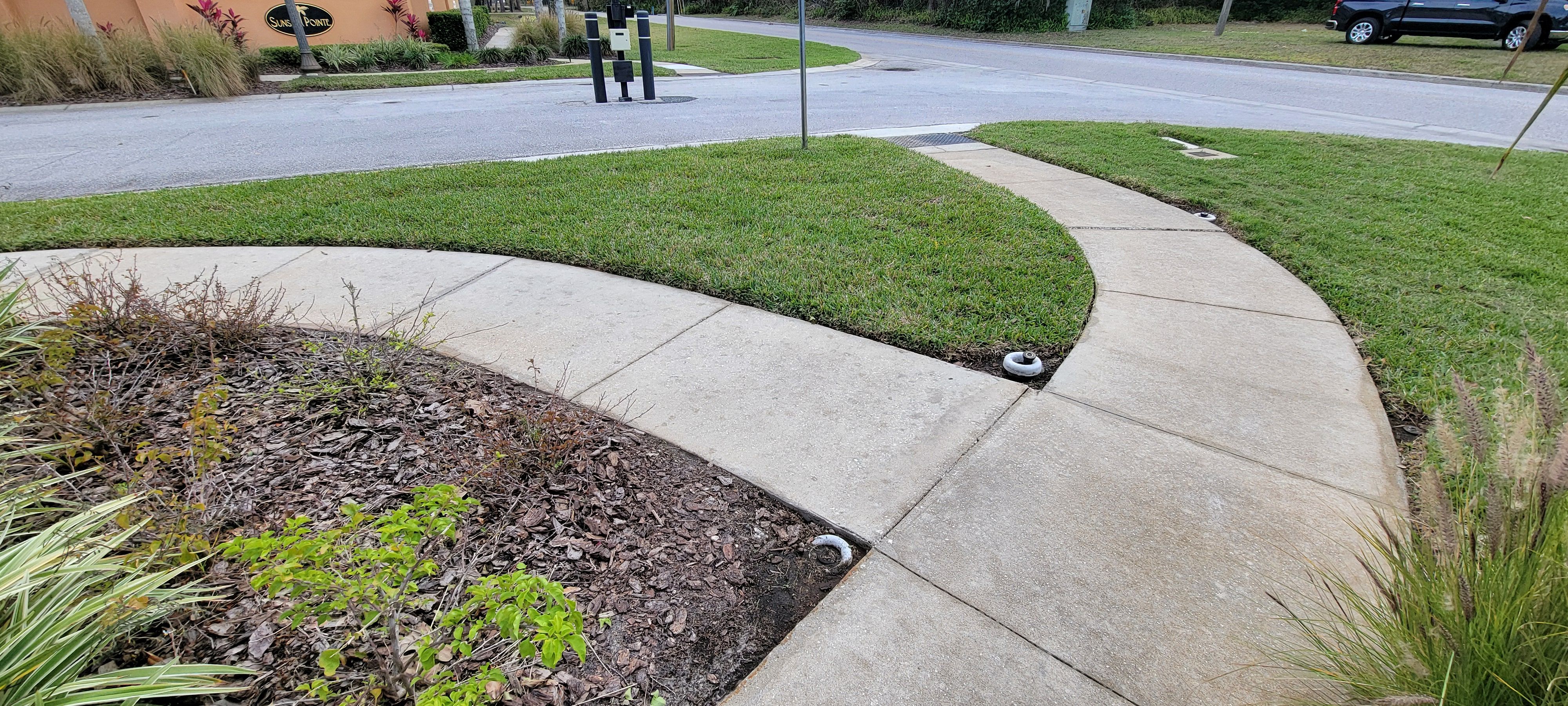  for Blue Stream Roof Cleaning & Pressure Washing in Tampa, FL