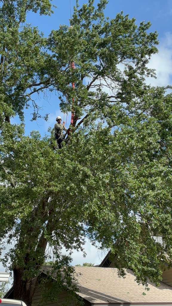  for The Family Tree Care Services LLC in Florida City, FL