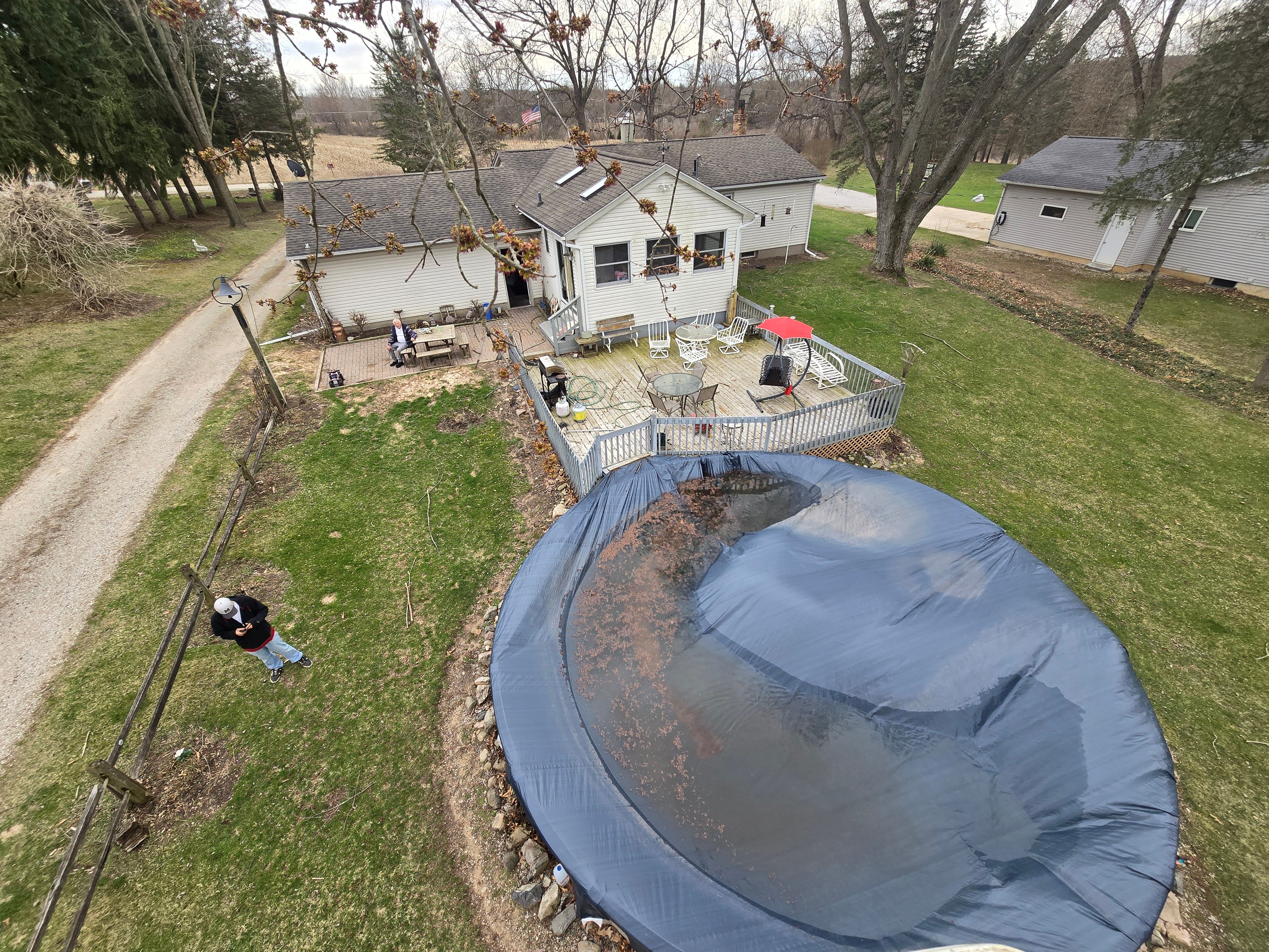 for D Hale Tree Service in Dexter, MI