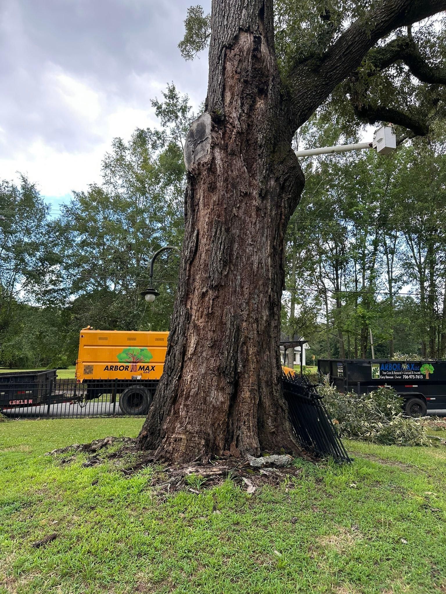 All Photos for ArborMax in Thomaston, GA