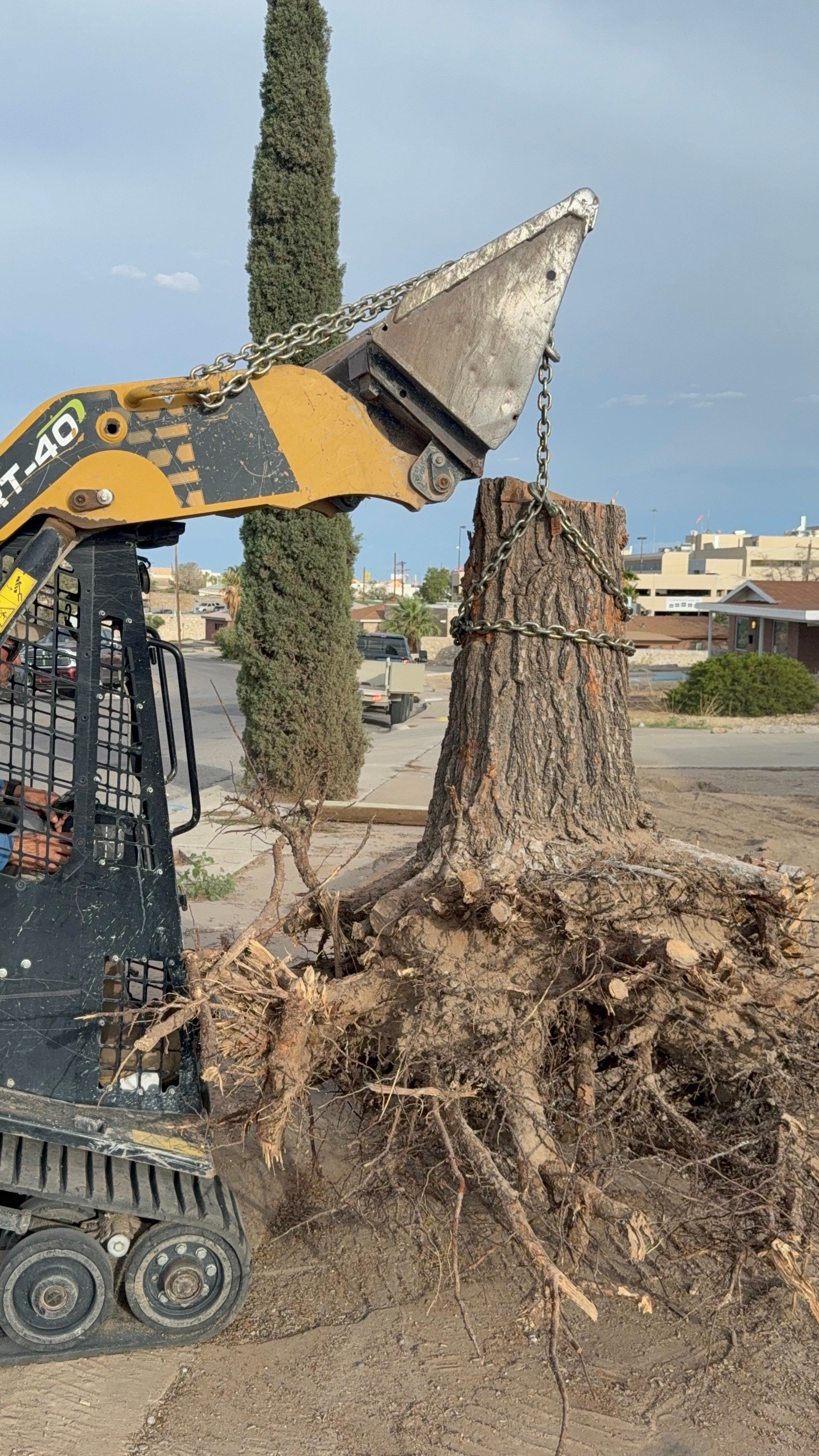  for Oasis Landscaping LLC  in El Paso, TX