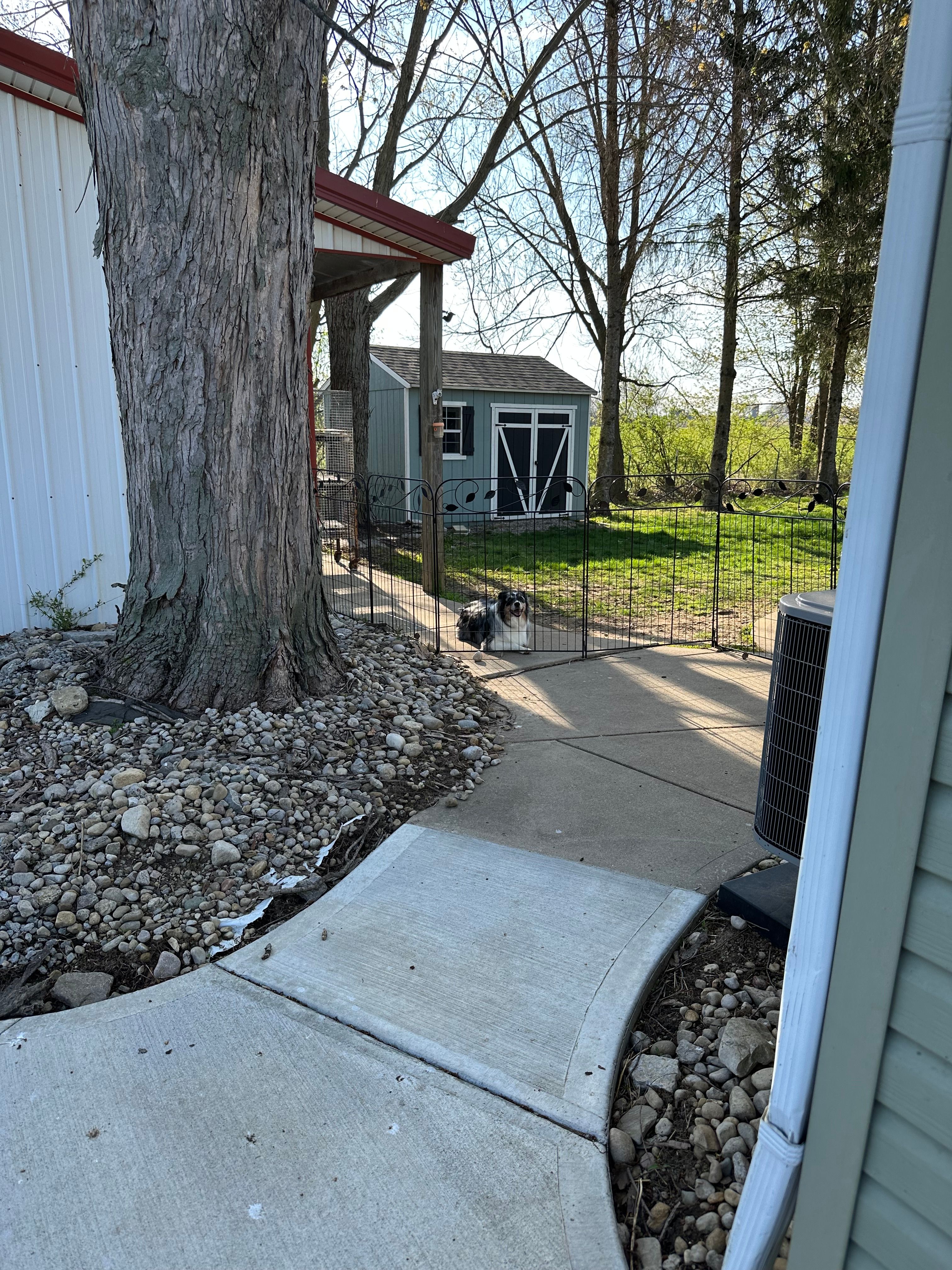 All Photos for TMP Fence in Xenia, OH