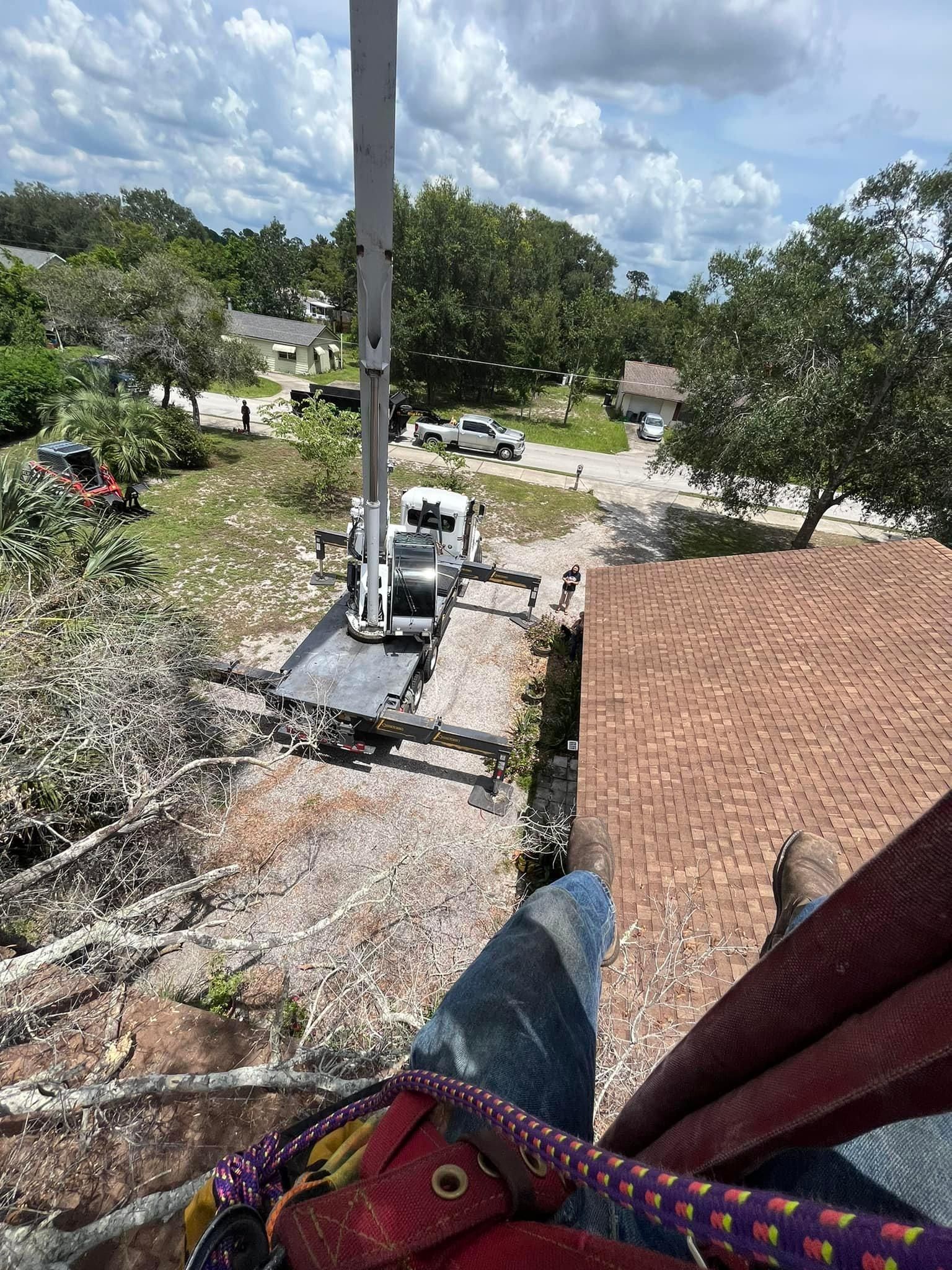  for McGraw’s Lawn and Tree Service in DeLand, FL