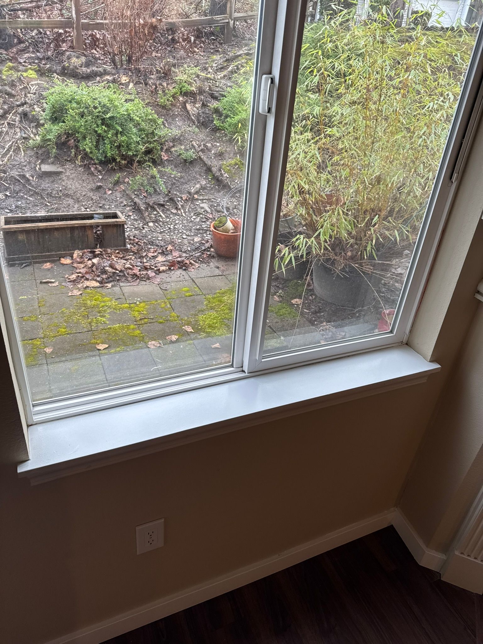  for Tony's Remodeling & Painting in Renton, WA