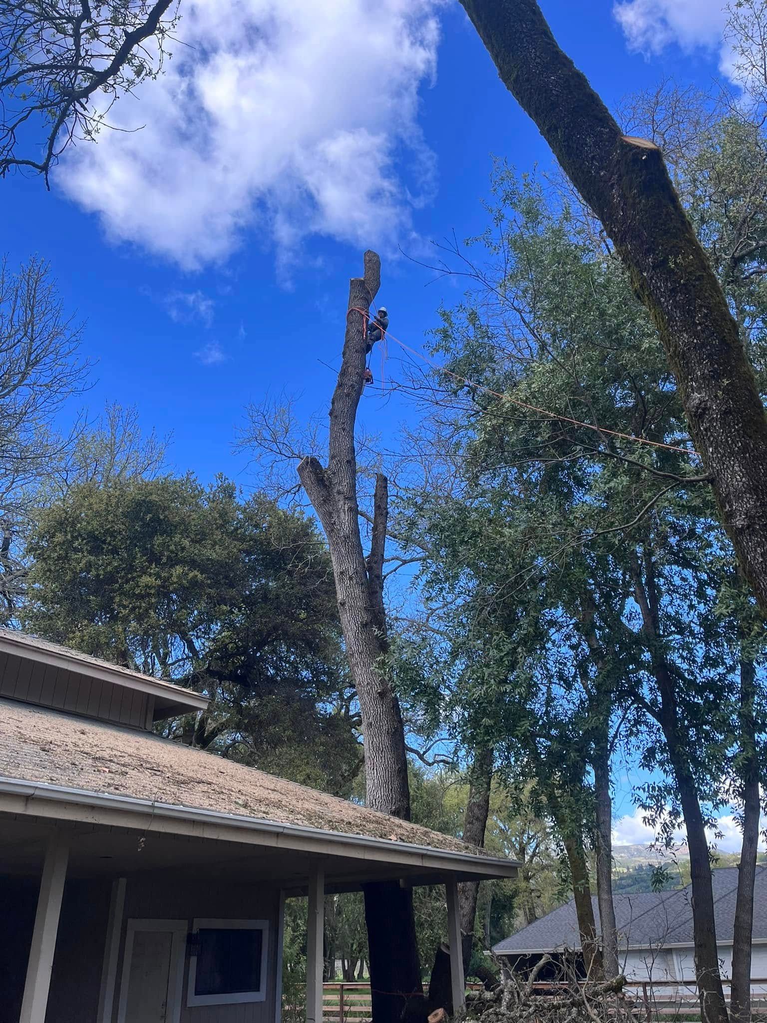  for J. Orozco & Sons Ent in Philo, CA