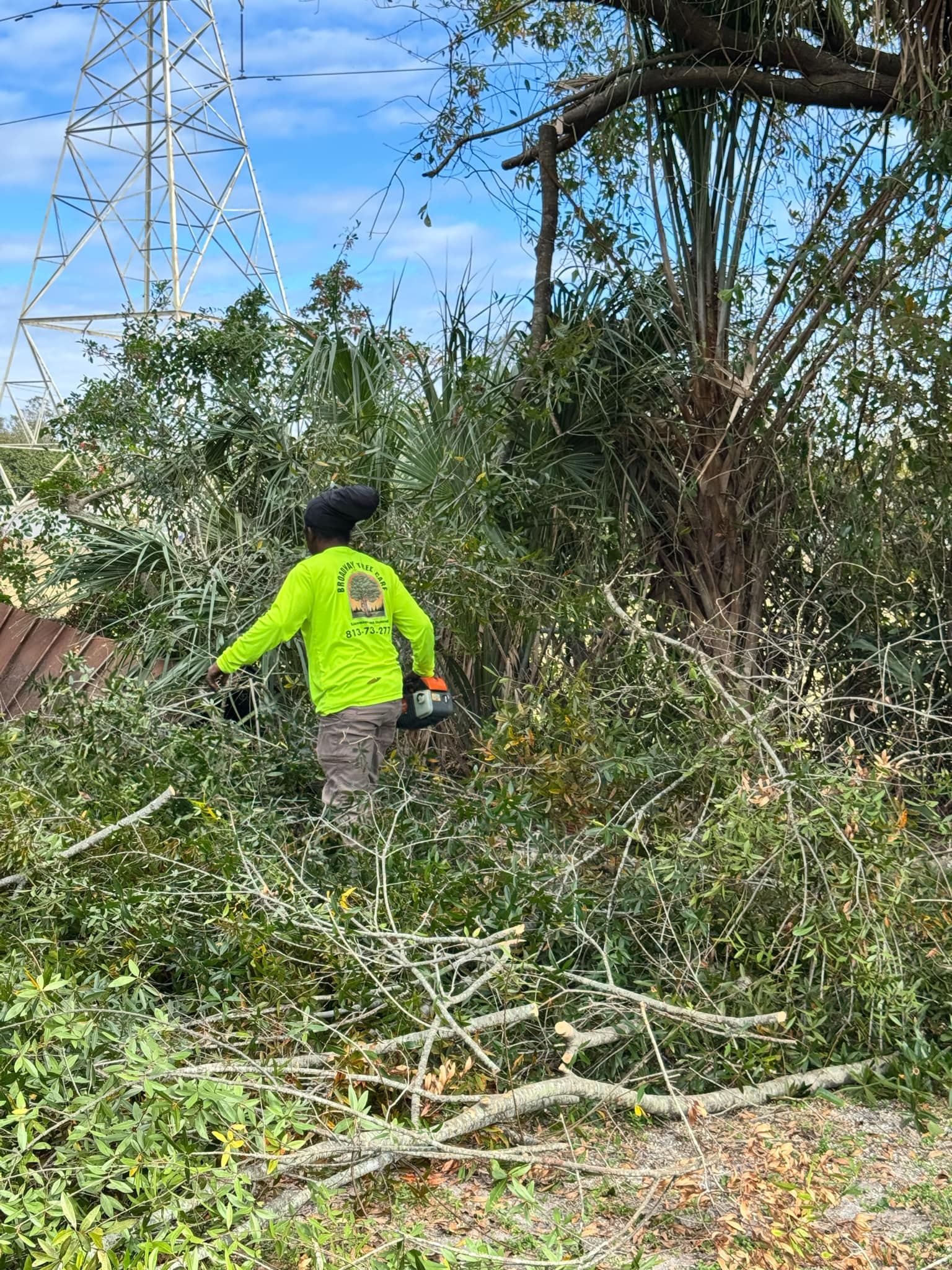  for Broadway Tree Care in Inverness, FL