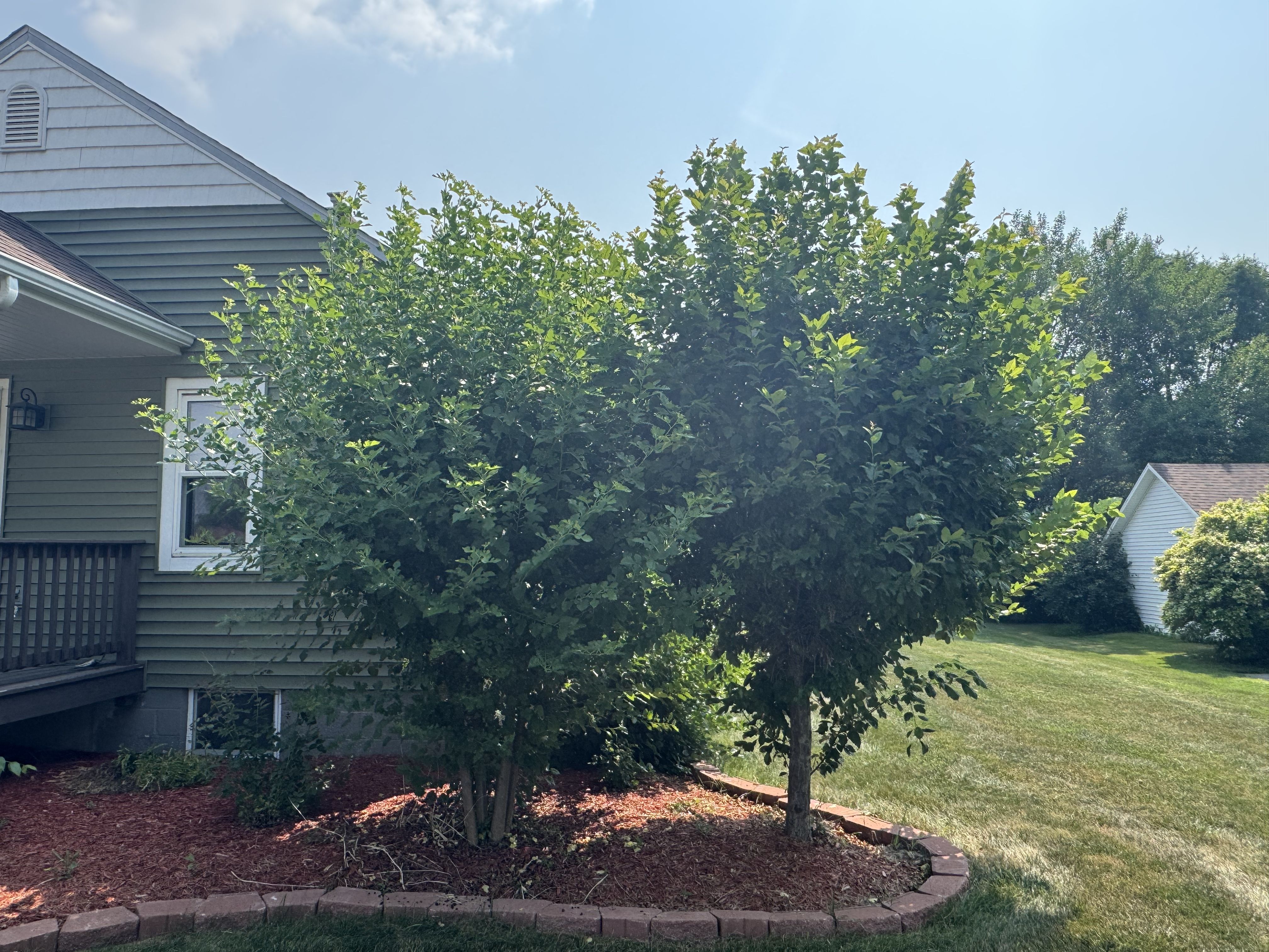  for Daugherty's Tough Lawn Care in Essexville, MI