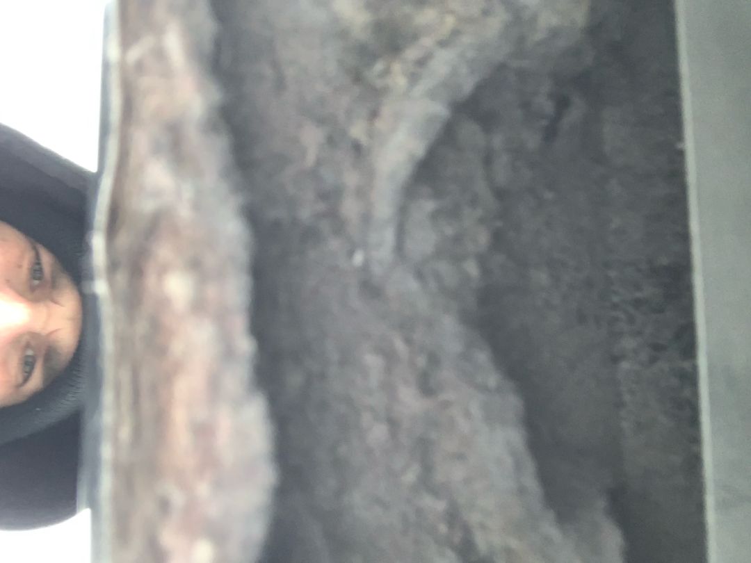 All Photos for Soapy Suds Services in St. Charles, IL