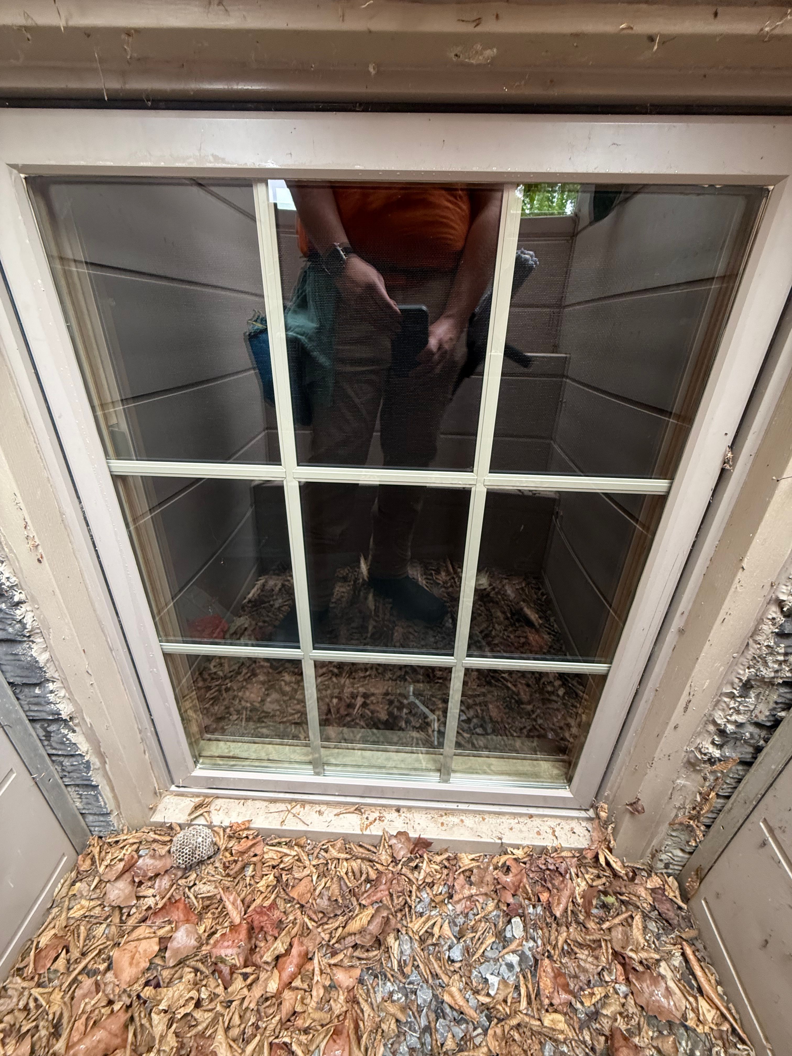  for Wehler’s Clean Windows LLC in Saint Marys, PA