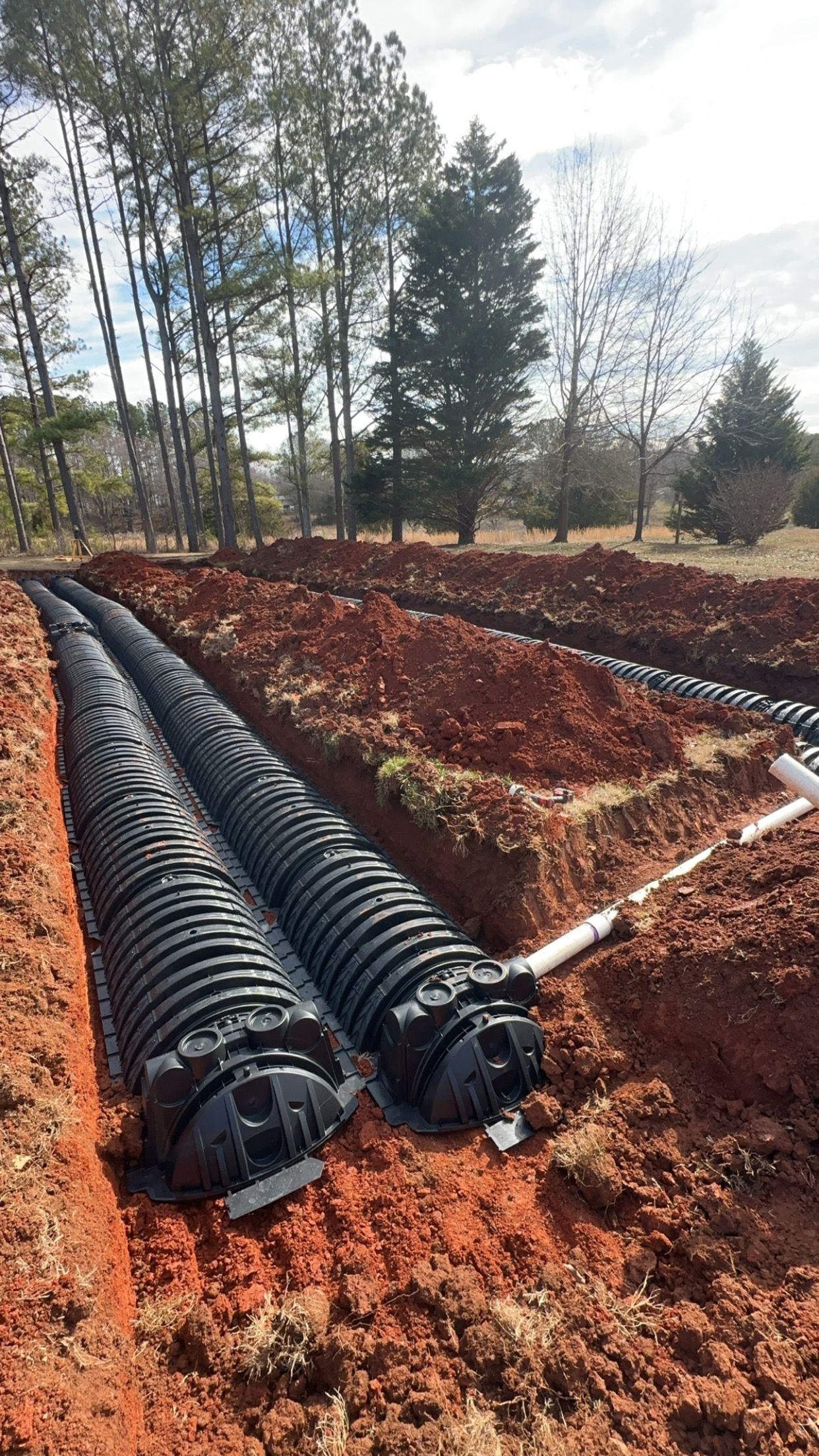  for Stines and Company  in Rutherfordton, NC