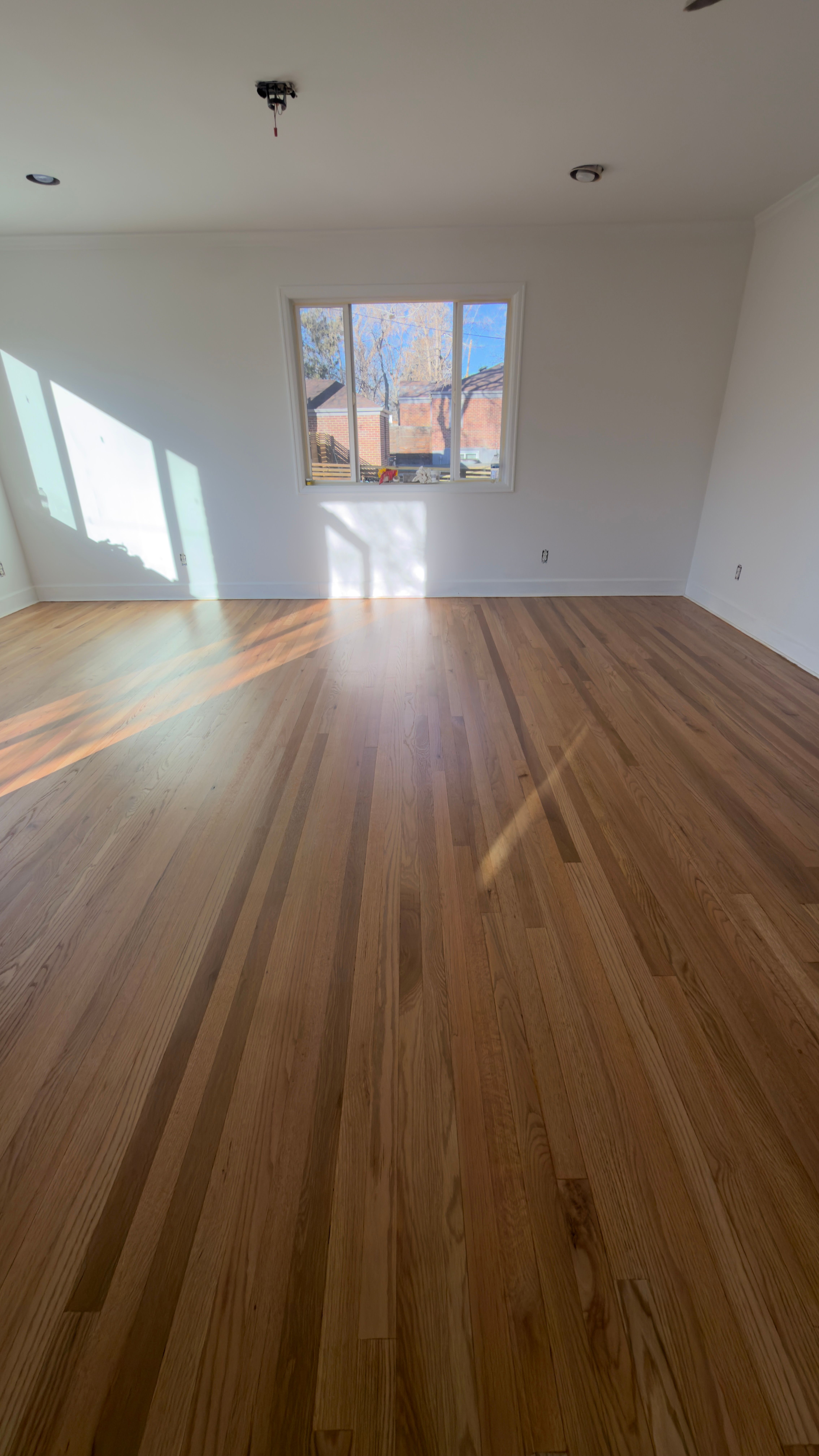  for Alpha Flooring & Painting Services. in Centennial, CO