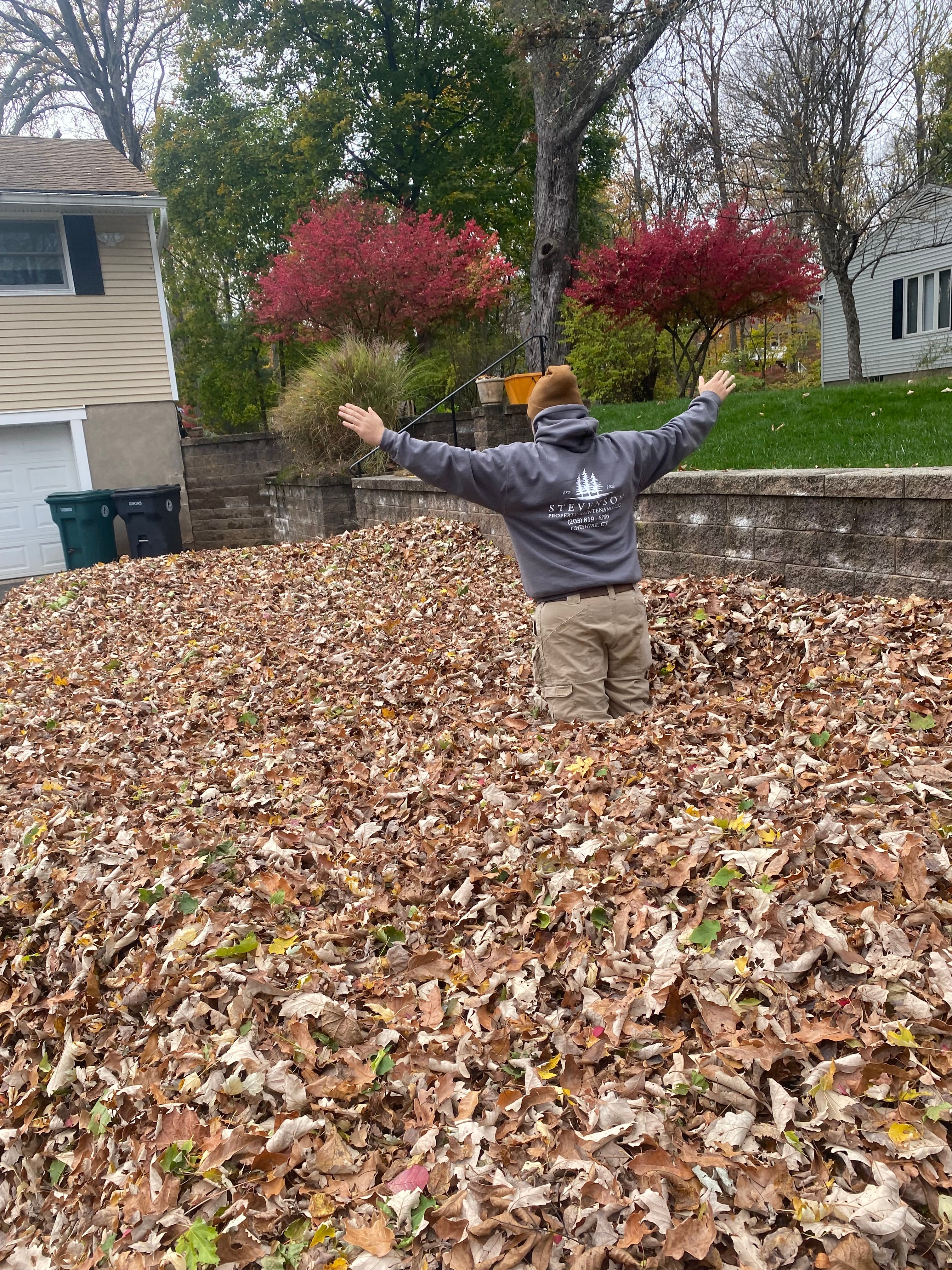  for Stevenson Property Maintenance in Cheshire, CT