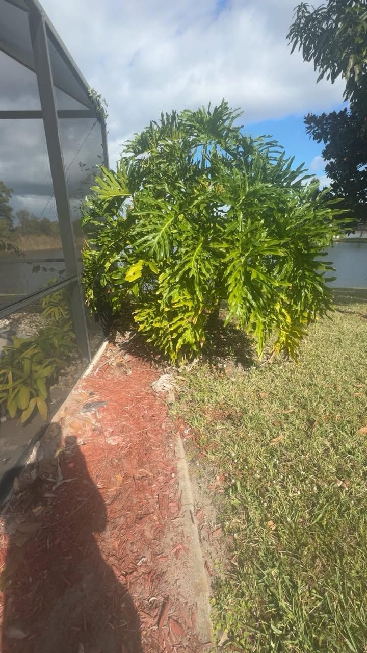  for Space Coast Property Maintenance and Management LLC in Brevard County, FL