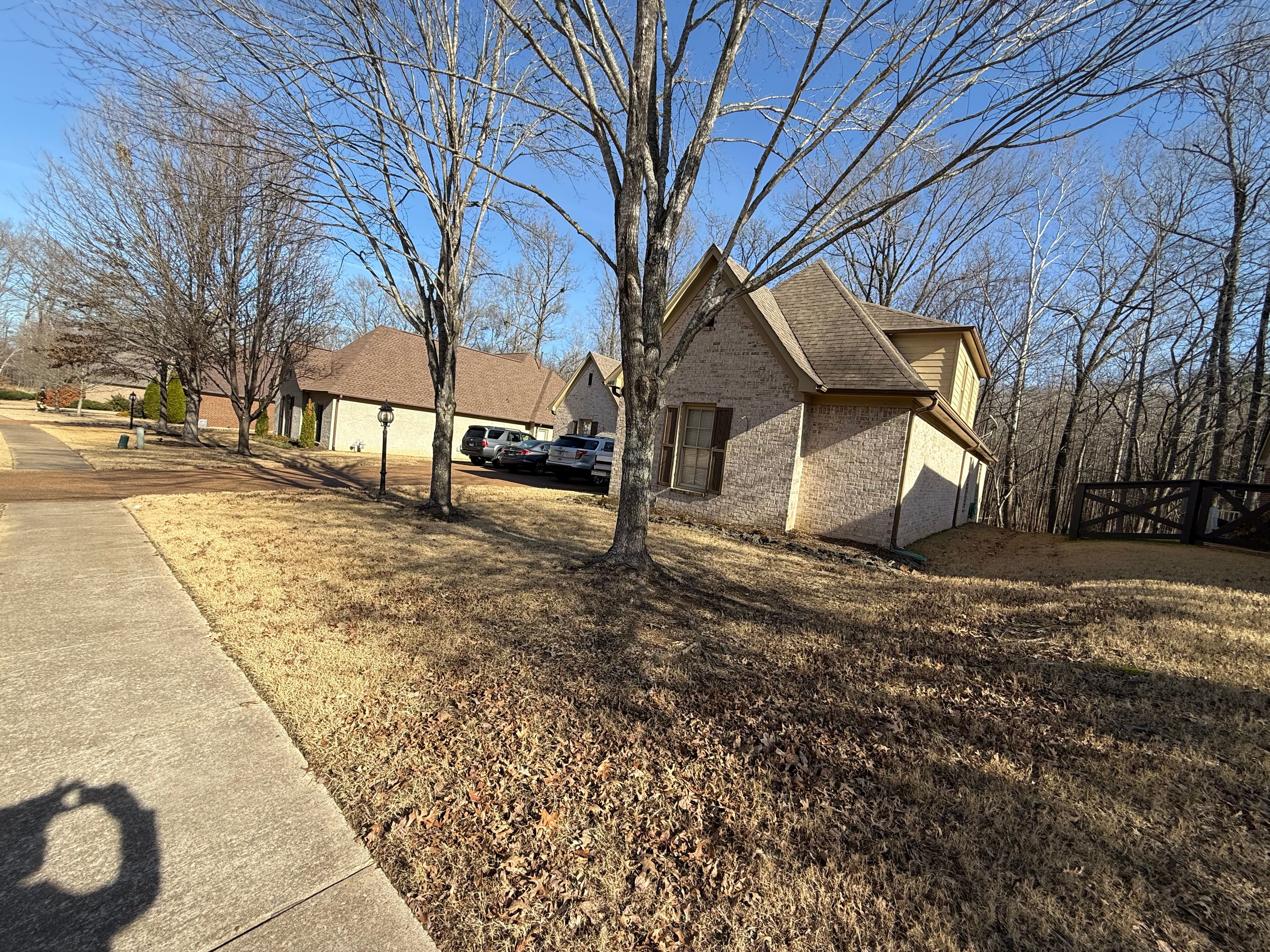  for Sanchez Z. Landscaping in Memphis, TN