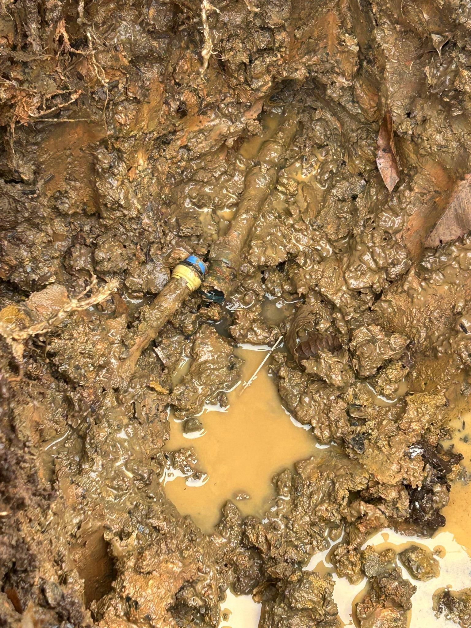  for Pro Plumbing and Home Improvements in Goodlettsville, TN