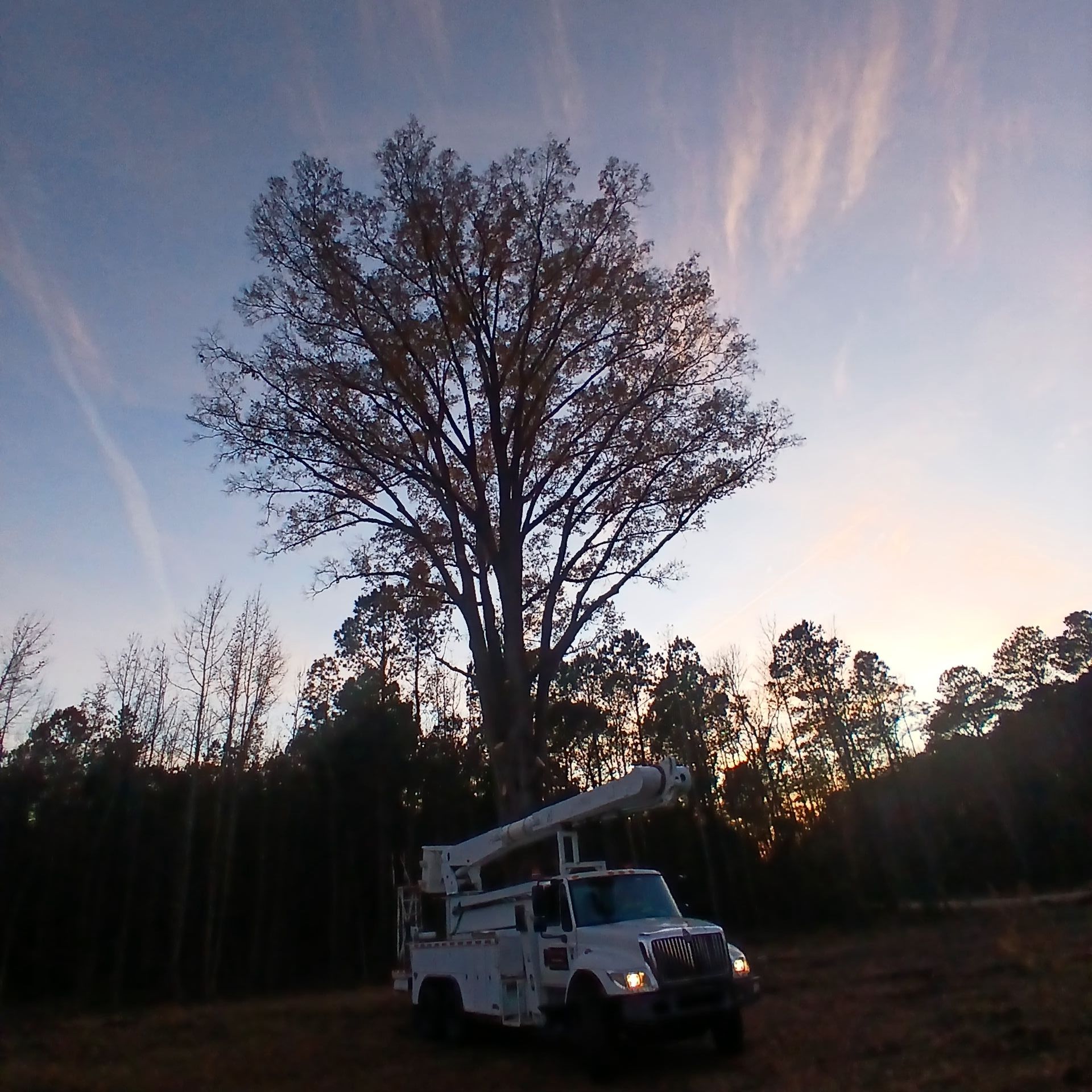 All Photos for Kingdom Riderz Hauling And Tree Service in Tar Heel, NC