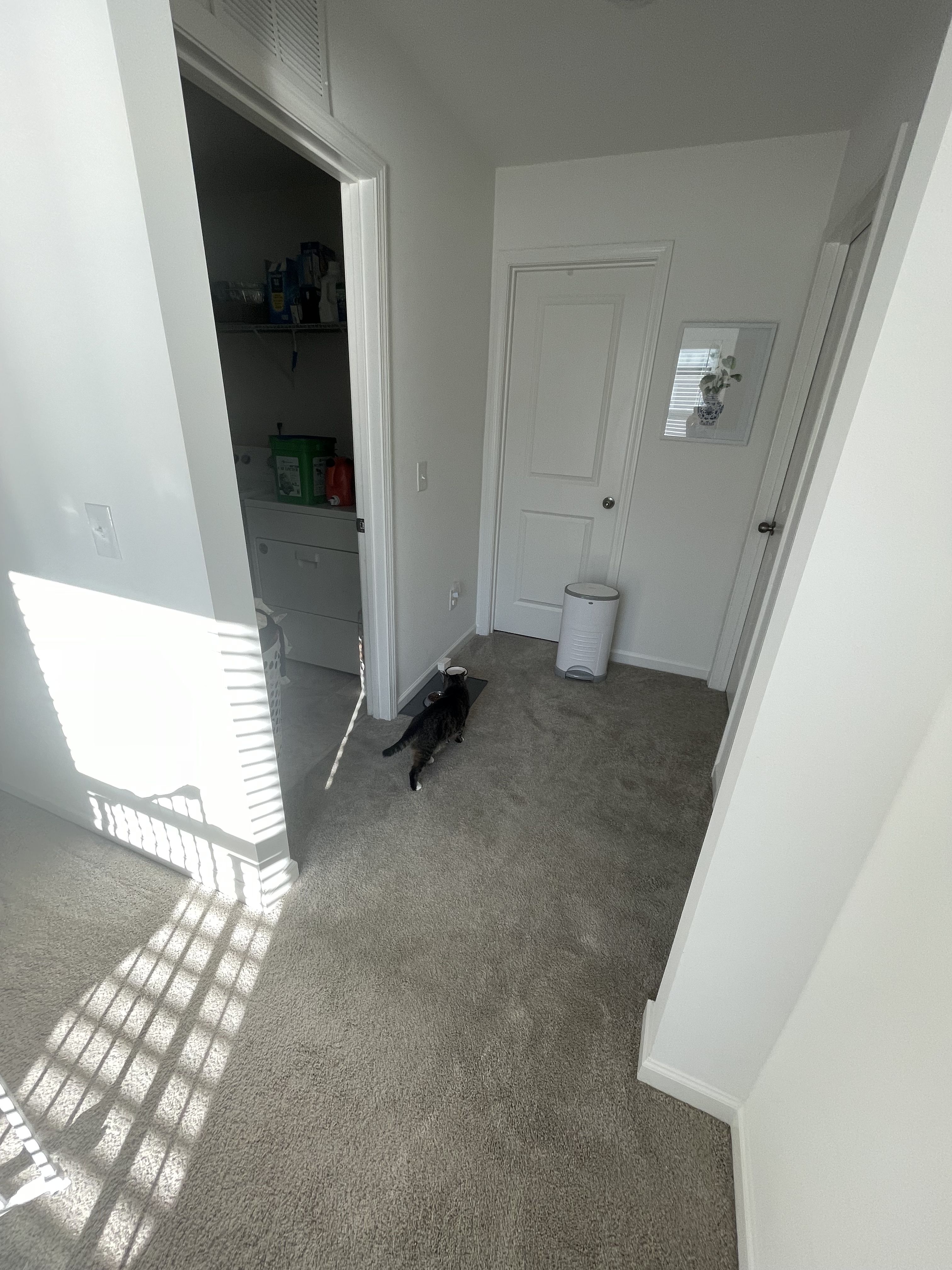 All Photos for Brooks Flooring in Burlington, NC