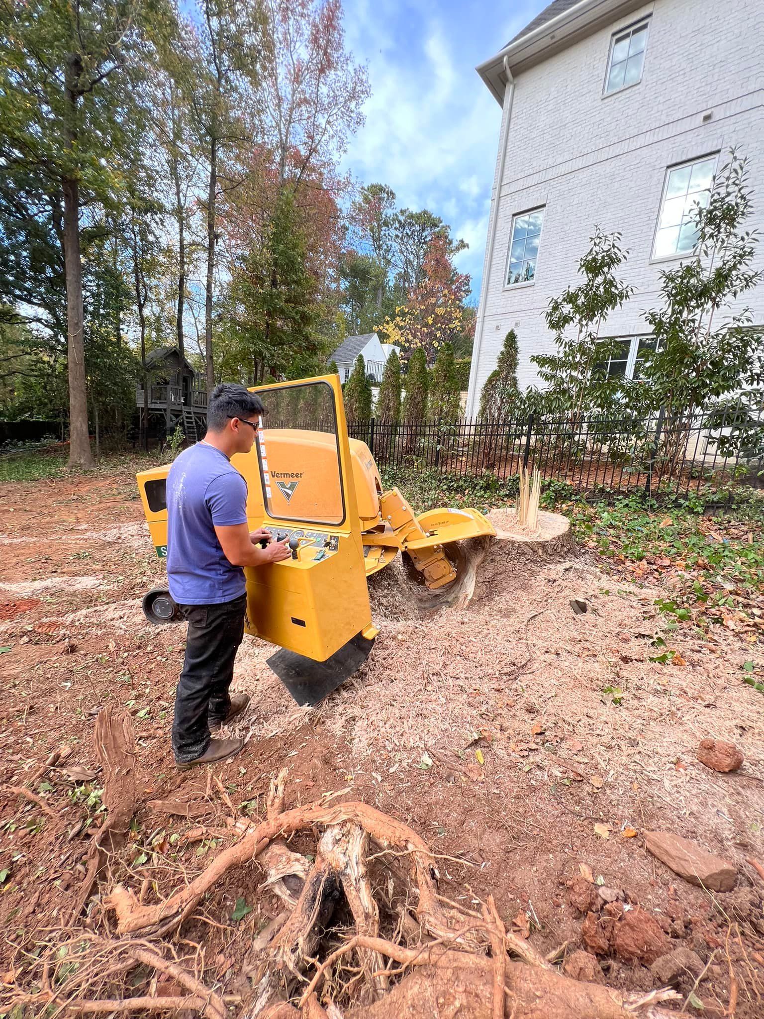 Other Services for J&M Stump Grinders LLC in Douglasville, GA