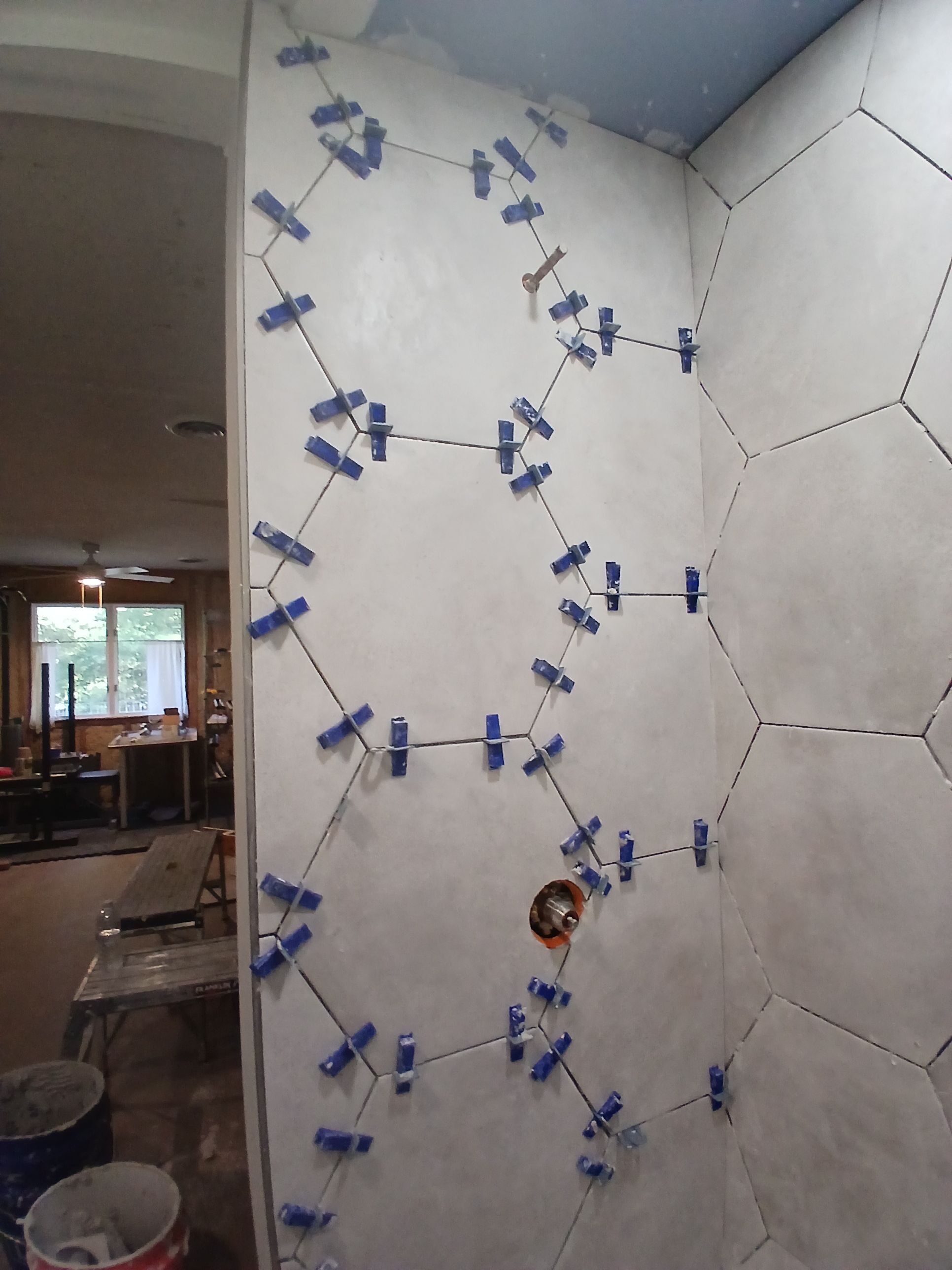  for Dead Tree General Contracting in Carbondale, Illinois