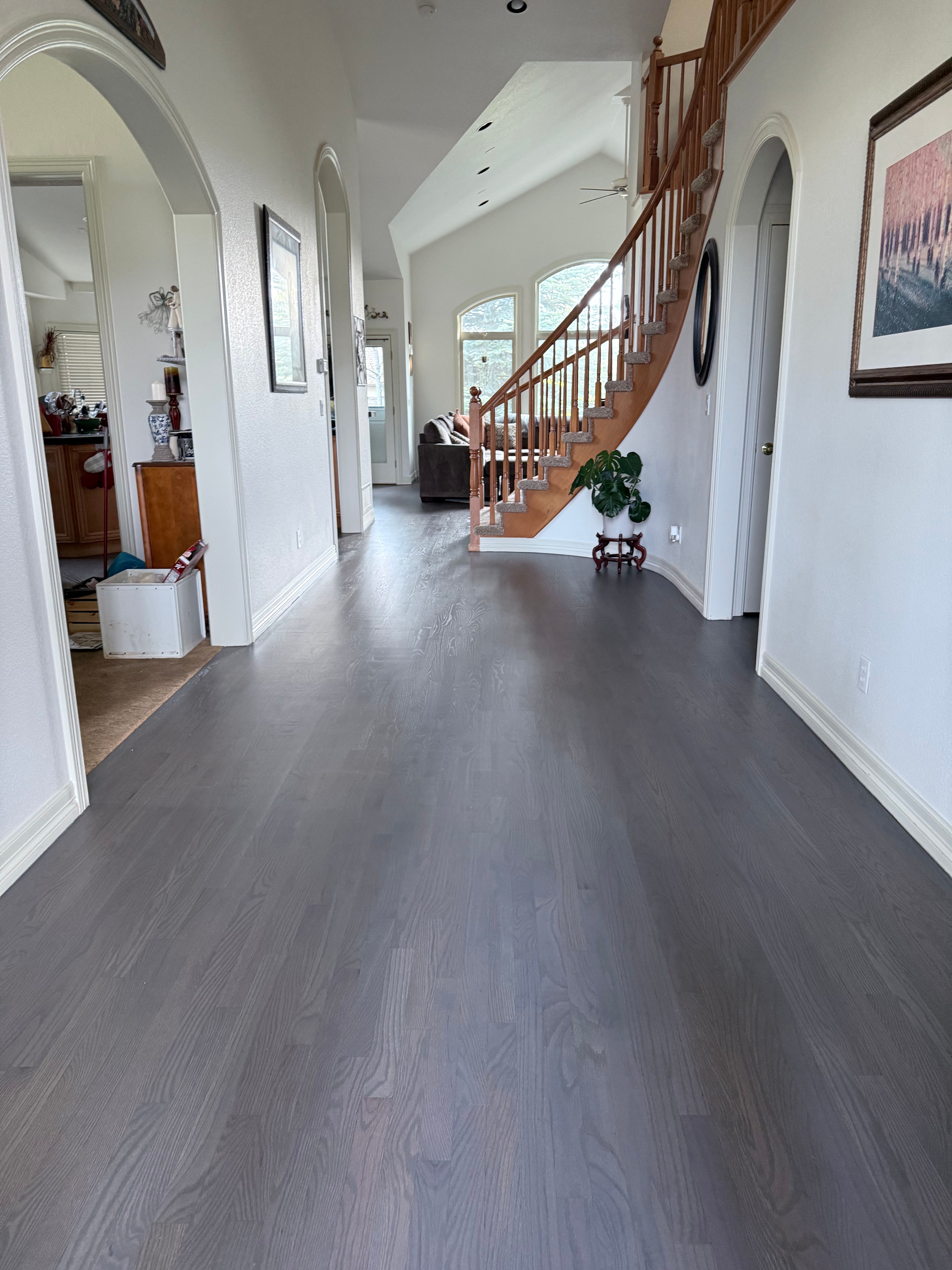  for Alpha Flooring & Painting Services. in Centennial, CO