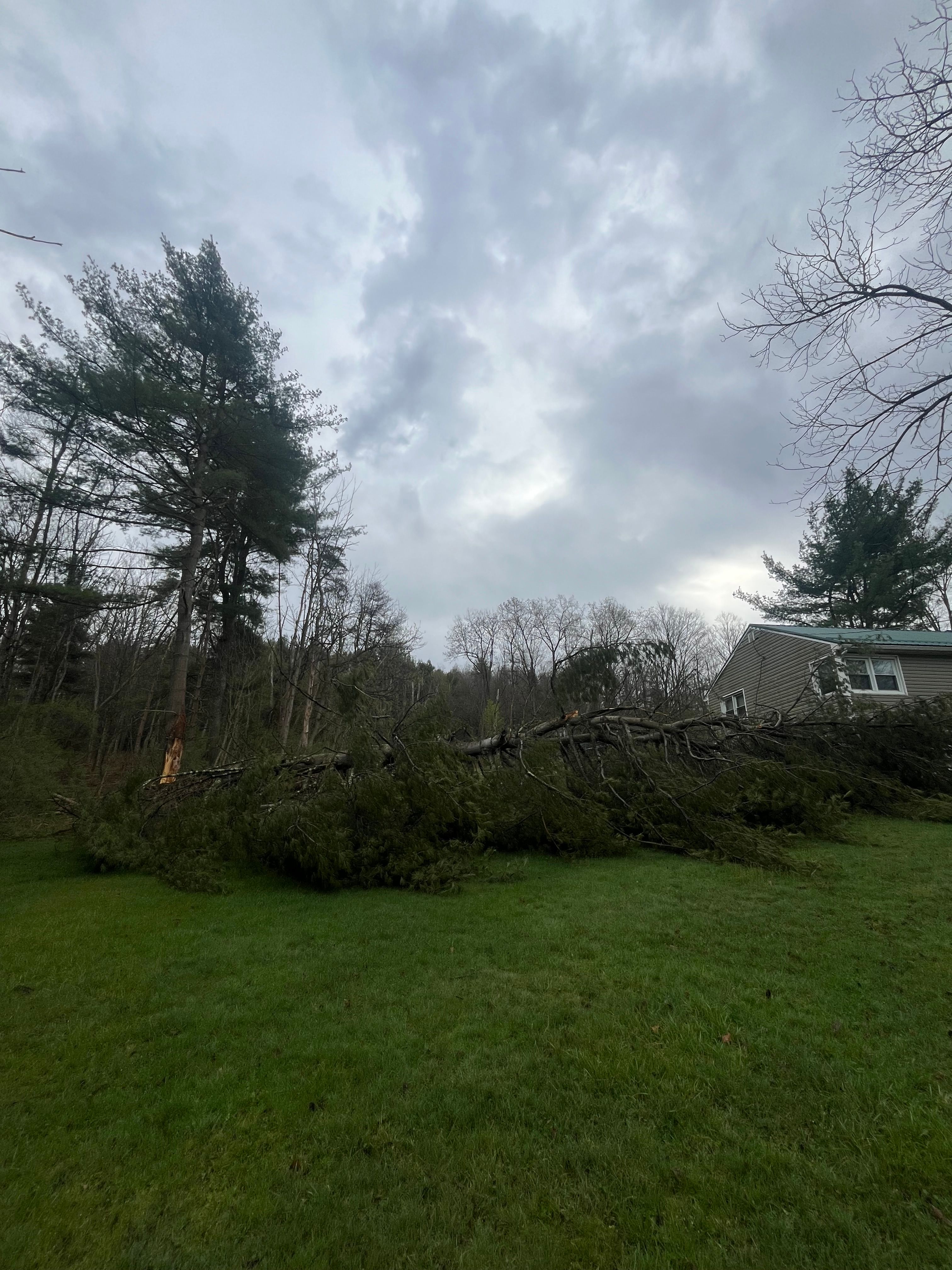All Photos for Licensed to Cut Tree Service in Athens, PA