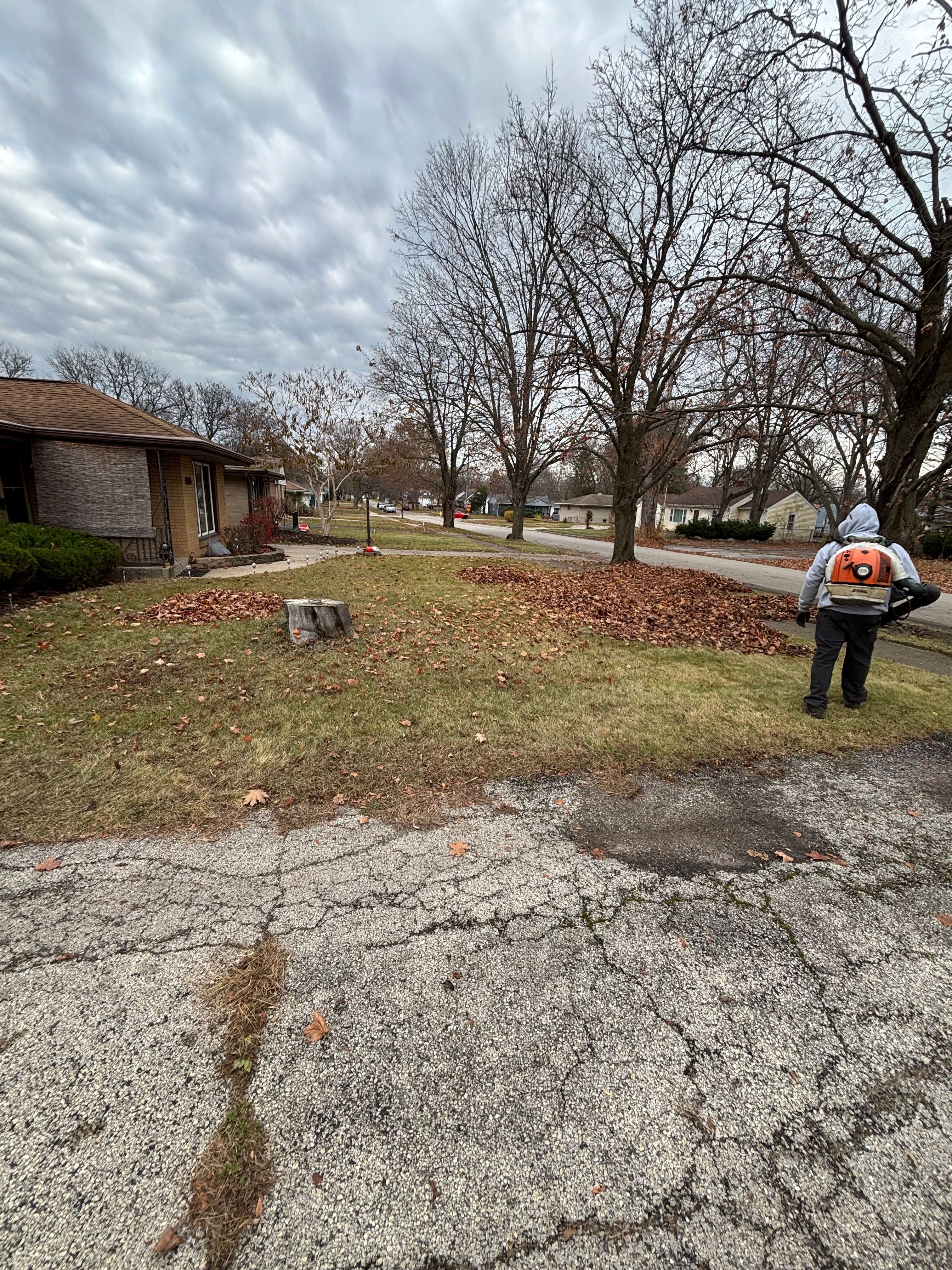  for Cena Landscaping in Rockford, IL