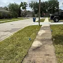  for Gulf Bay Sod in Clearwater, FL