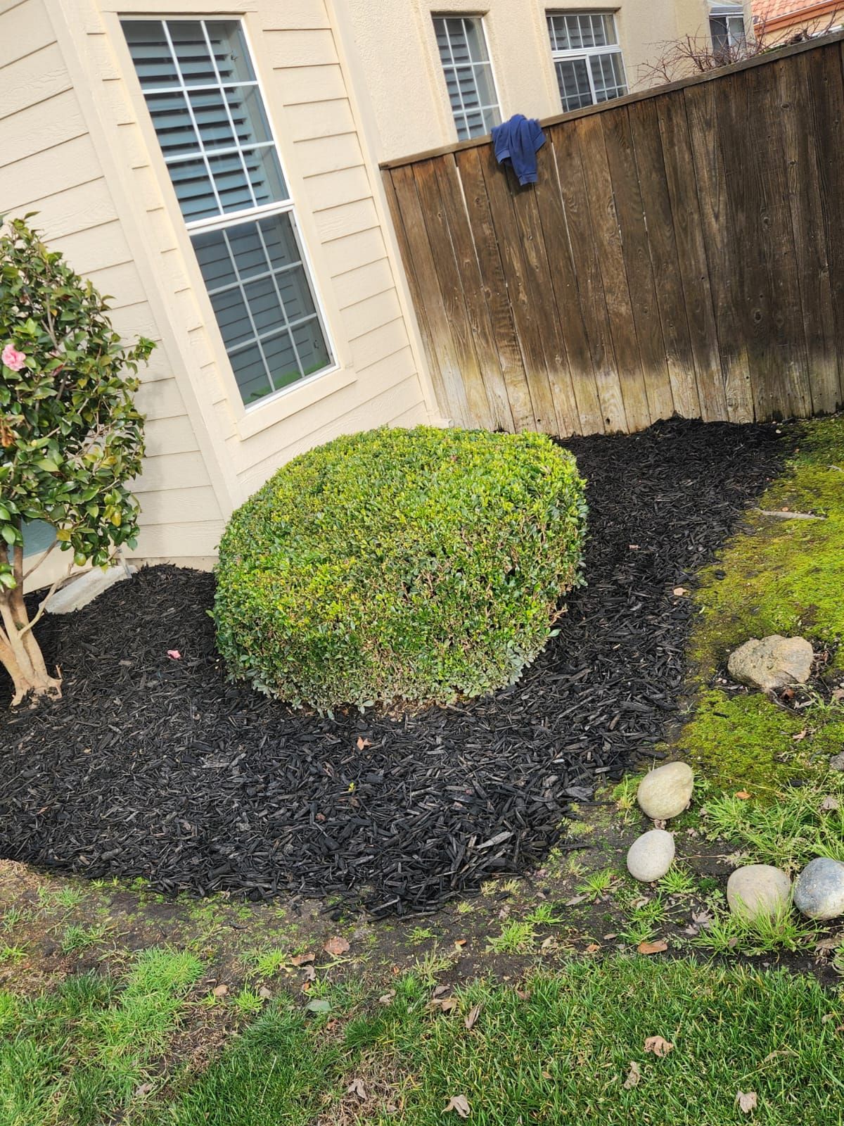  for Vargas LANSCAPE LLC in Stockton, CA