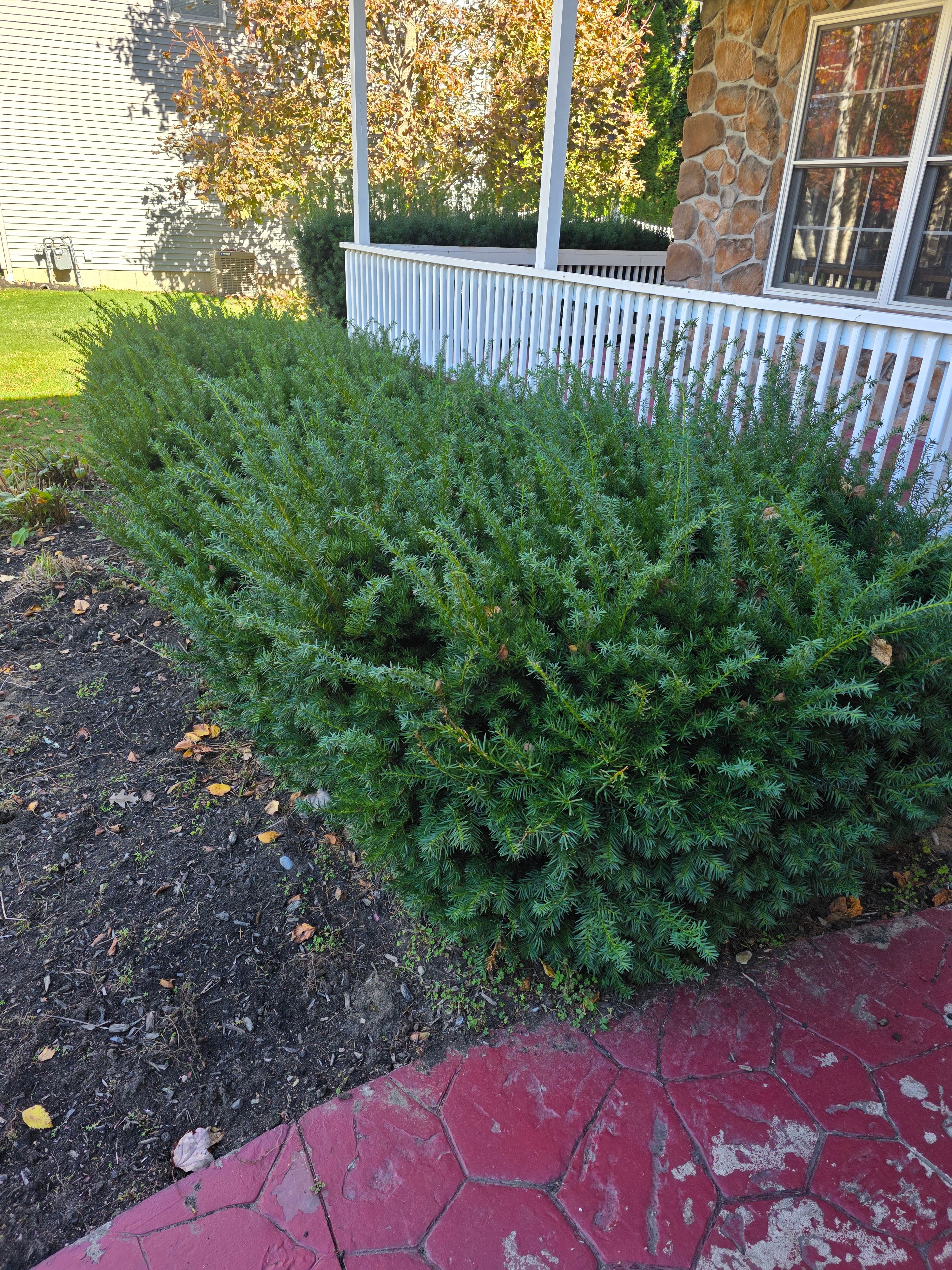  for Sweet Scapes in Ballston Spa, NY