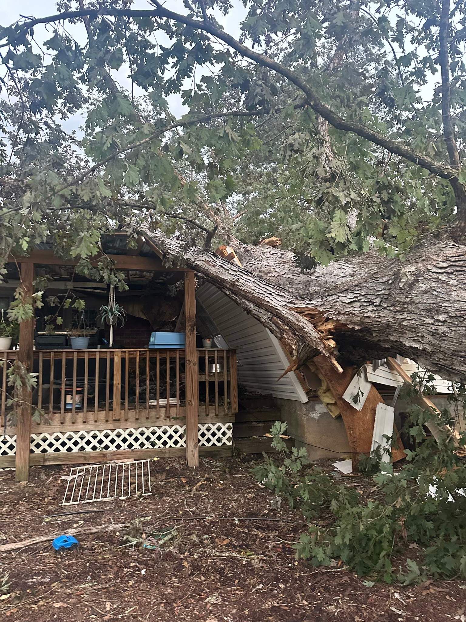  for Bulldawg Disaster Response in Atlanta, GA