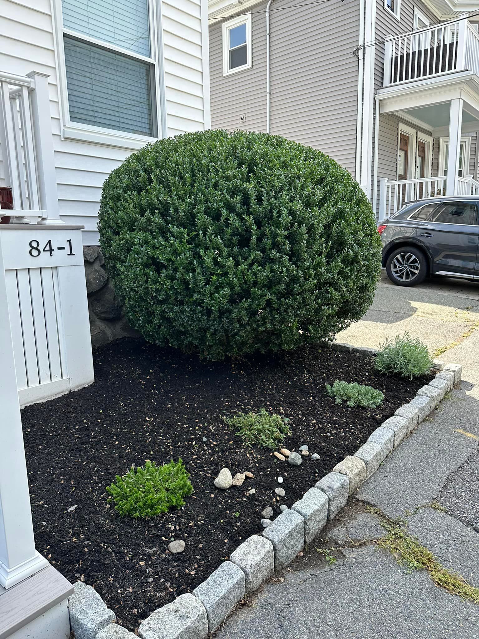  for Saavedra & Sons Landscaping in Waltham, MA