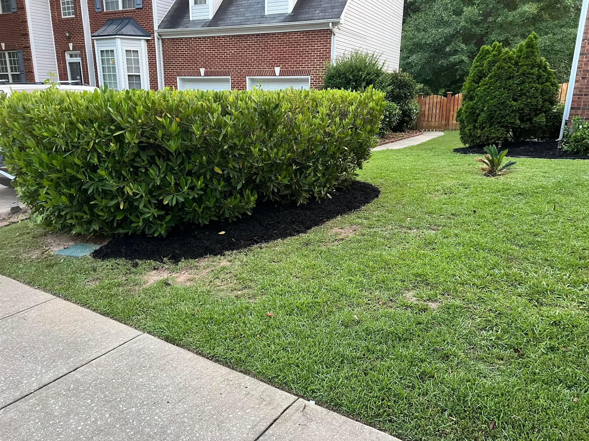  for Shang's Landscaping Service in Columbia, South Carolina