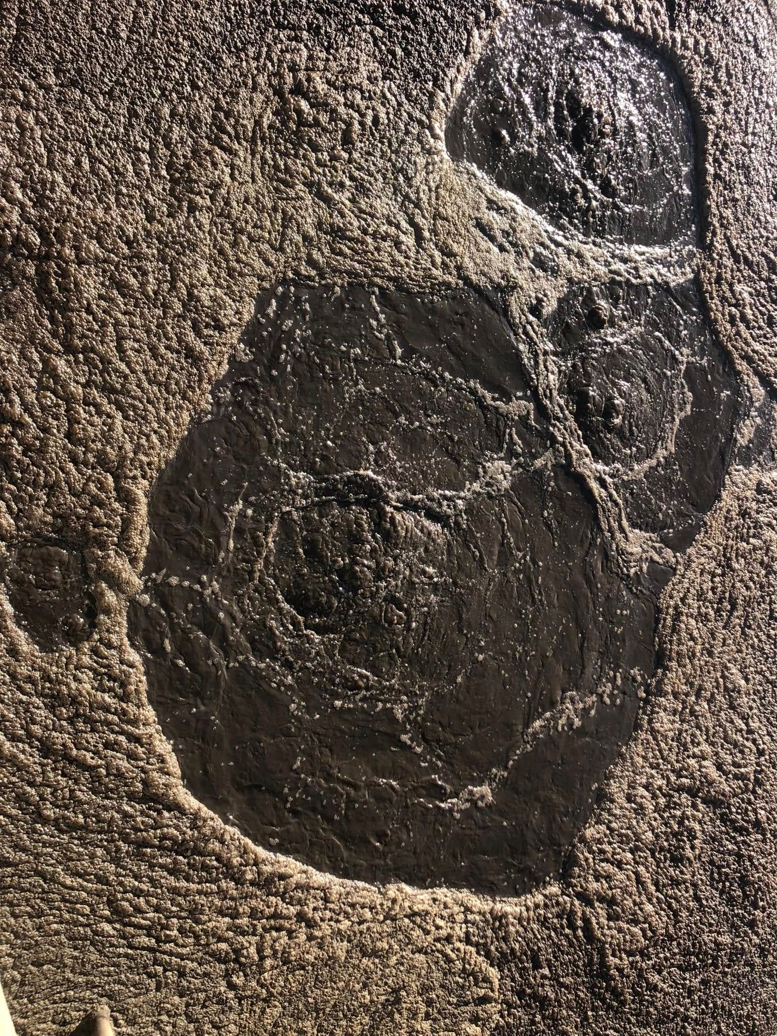  for Foothills Spill Response Team LLC in  Rutherfordton, NC