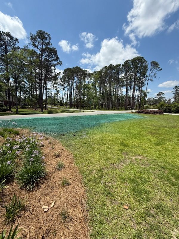  for Thompson Forestry Mulching & Stump Grinding in Douglas, GA